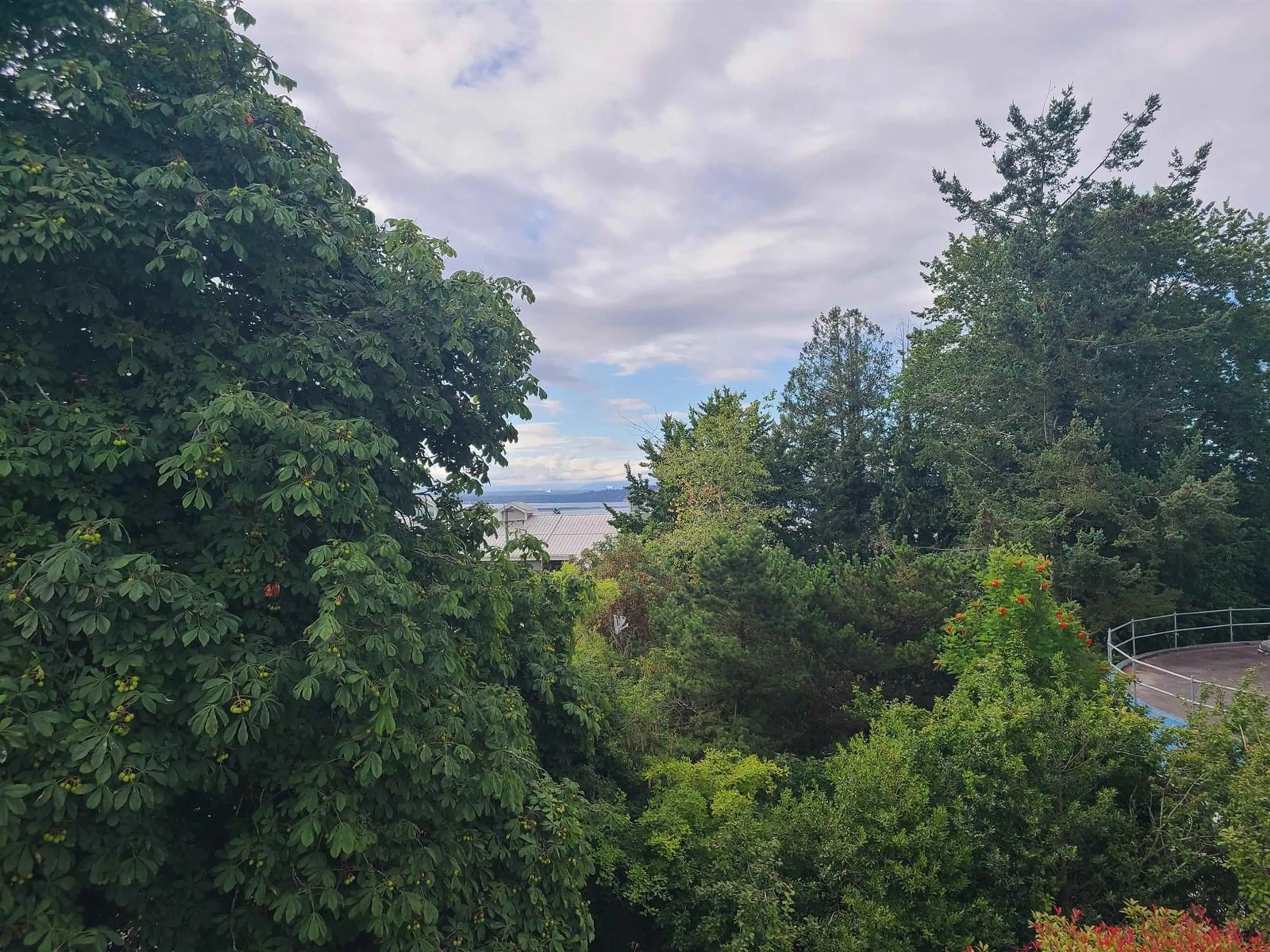 A pic from outside/outdoor area/front of a property/back of a property/a pic from drone, forest/trees view for 312 - 1341 GEORGE, White Rock British Columbia V4B4A1