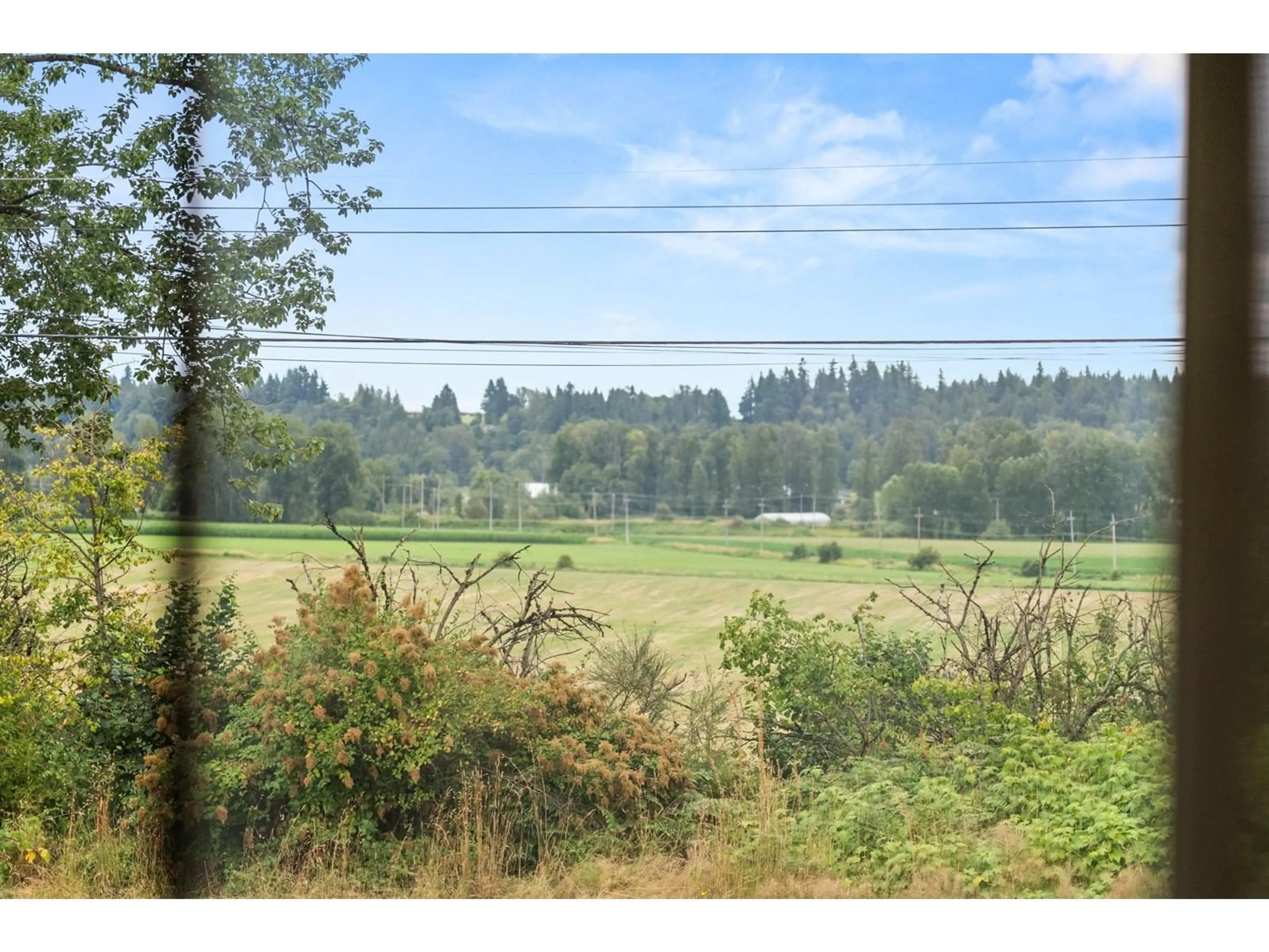 A pic from outside/outdoor area/front of a property/back of a property/a pic from drone, forest/trees view for 8989 HUDSON BAY, Langley British Columbia V1M2R5