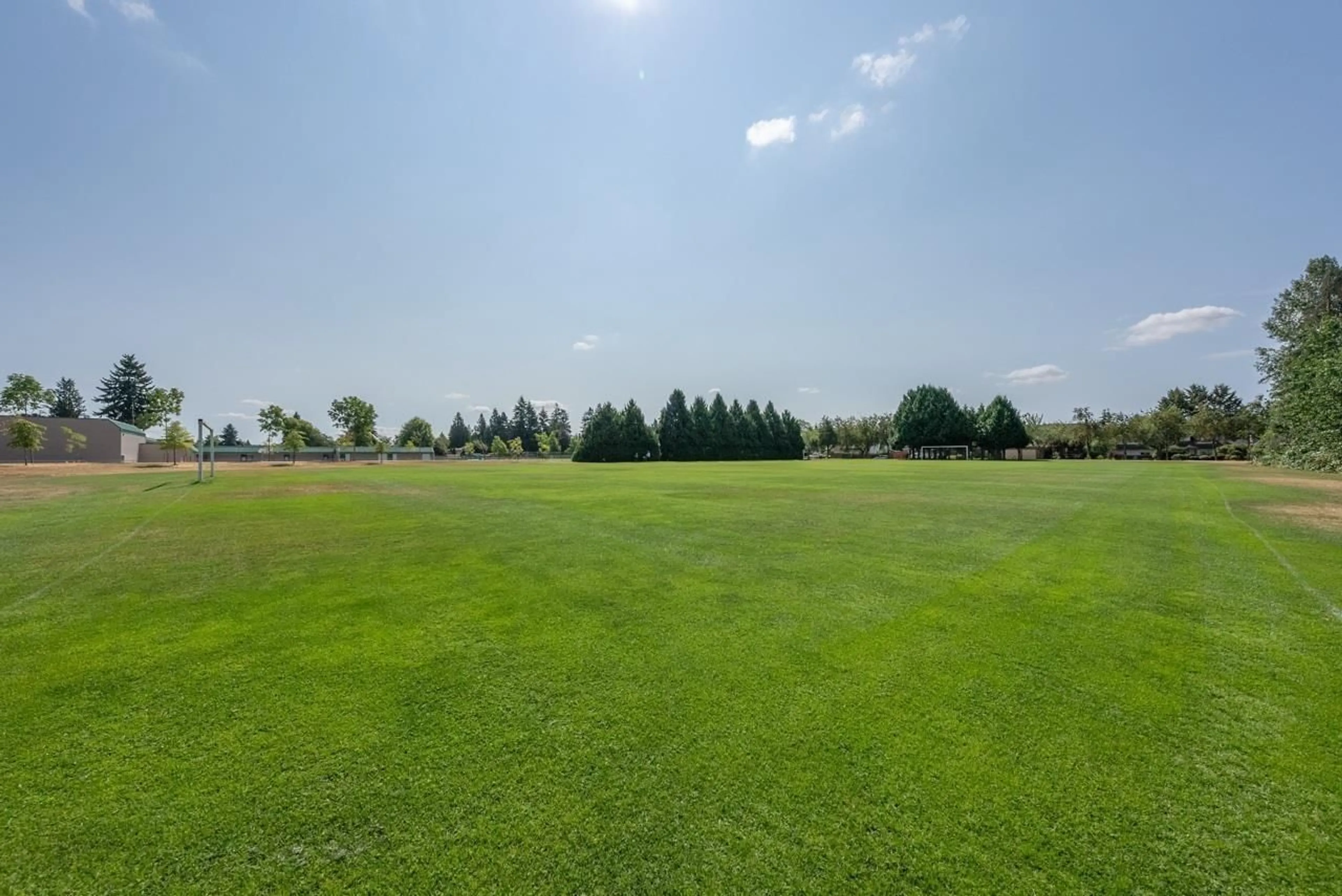A pic from outside/outdoor area/front of a property/back of a property/a pic from drone, forest/trees view for 9742 149, Surrey British Columbia V3R8C6