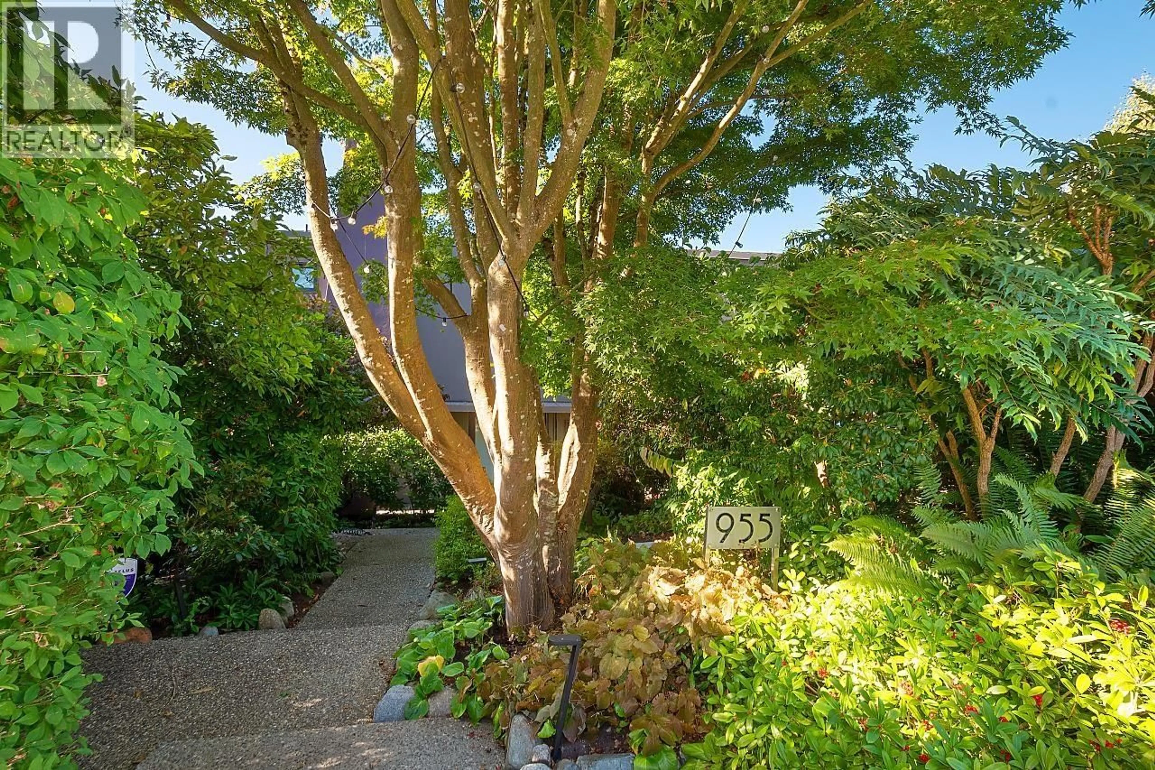 Patio, forest/trees view for 955 20TH STREET, West Vancouver British Columbia V7V3Z2