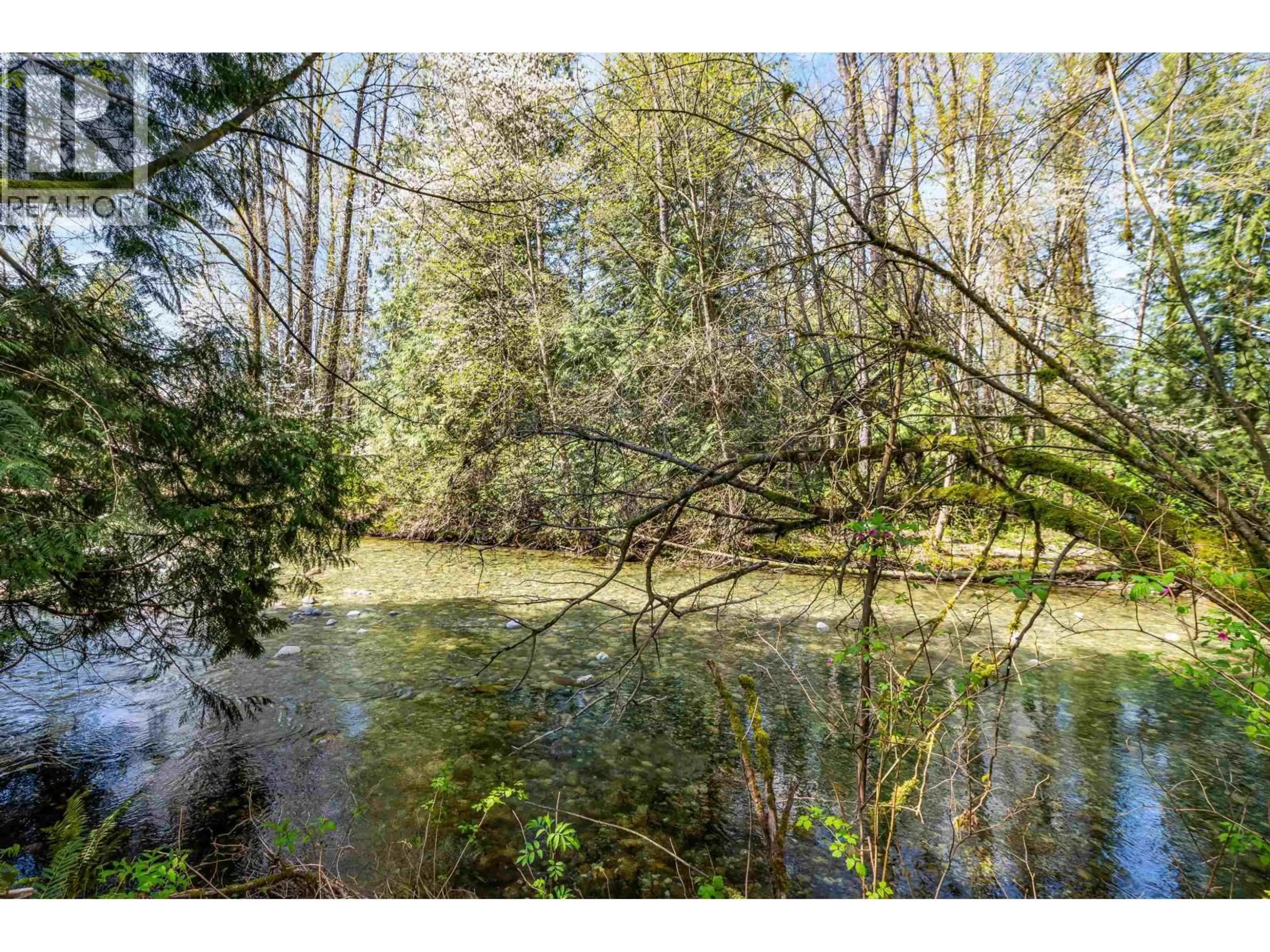Blurry image for 13209 232 STREET, Maple Ridge British Columbia V4R2S7