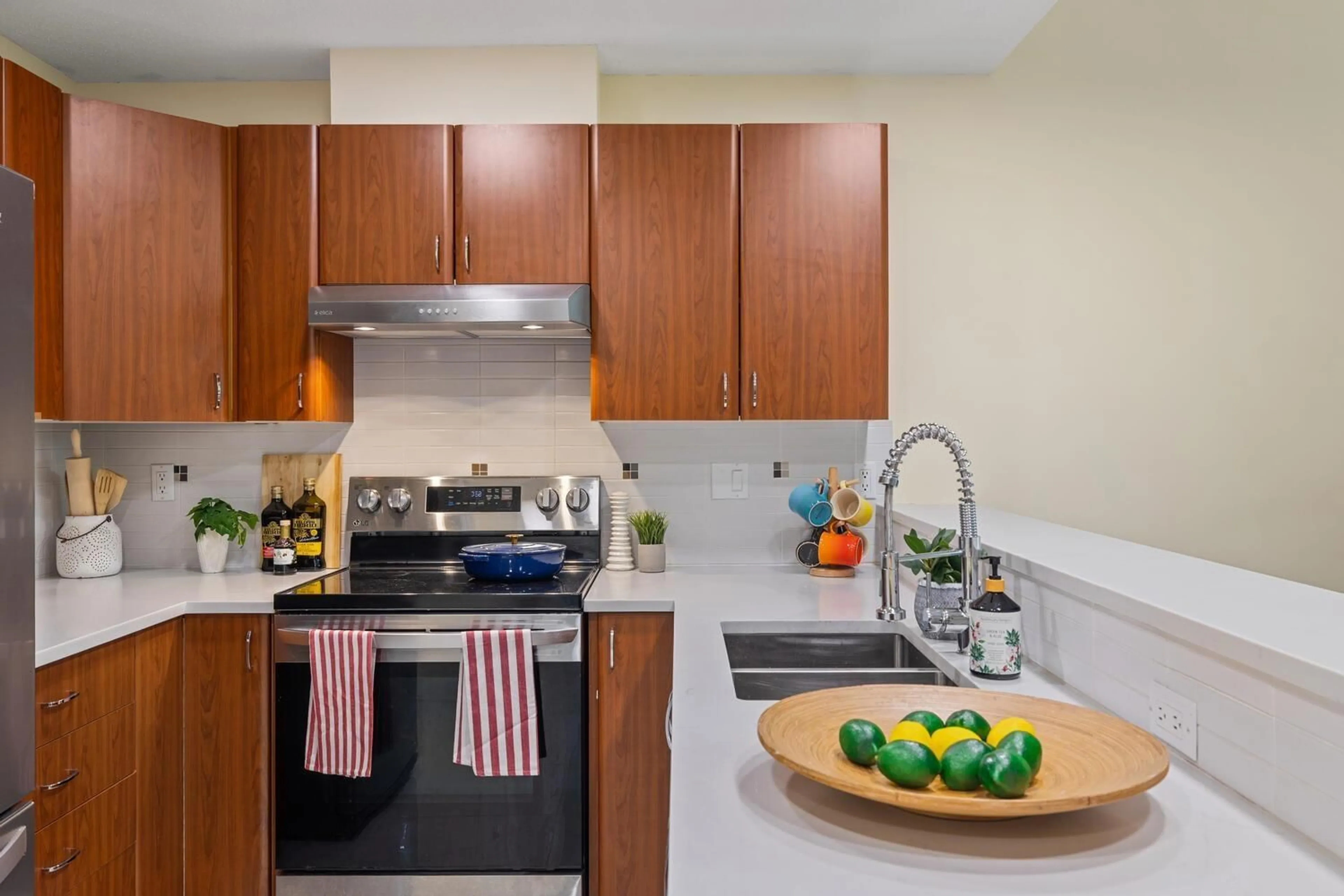 Standard kitchen, unknown for 309 - 14885 105, Surrey British Columbia V3R2V6