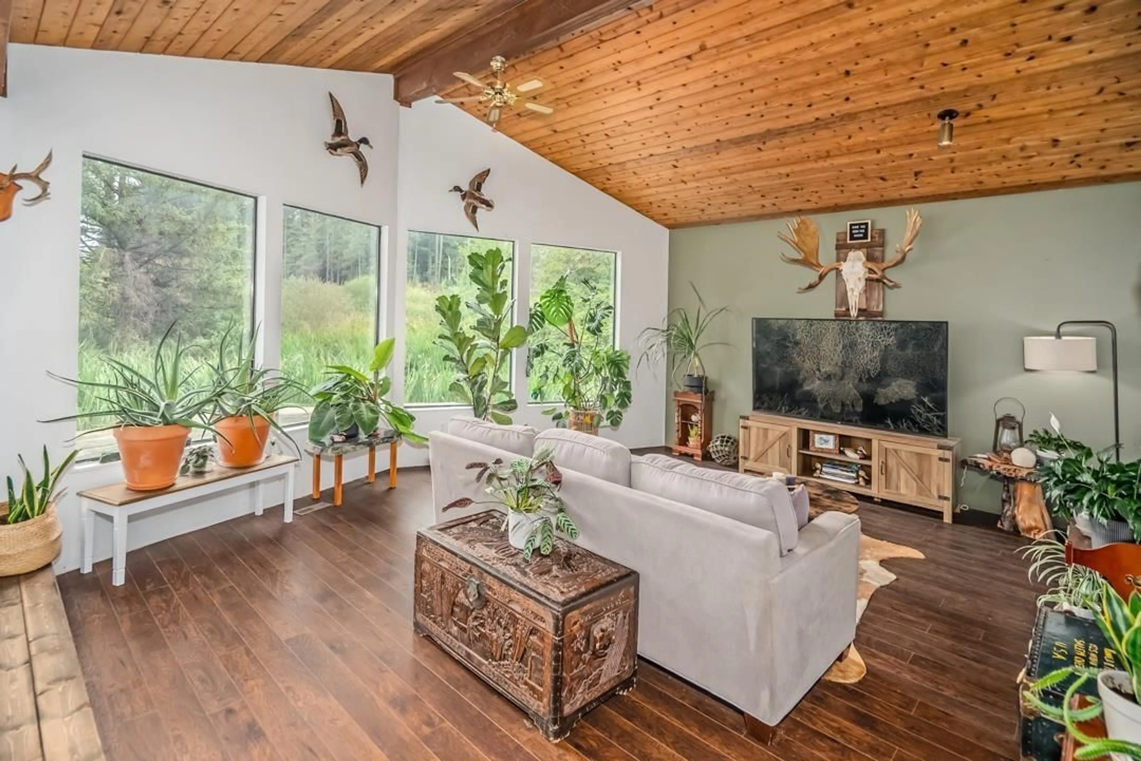 Living room with furniture, wood/laminate floor for 26559 58, Langley British Columbia V4W1V6