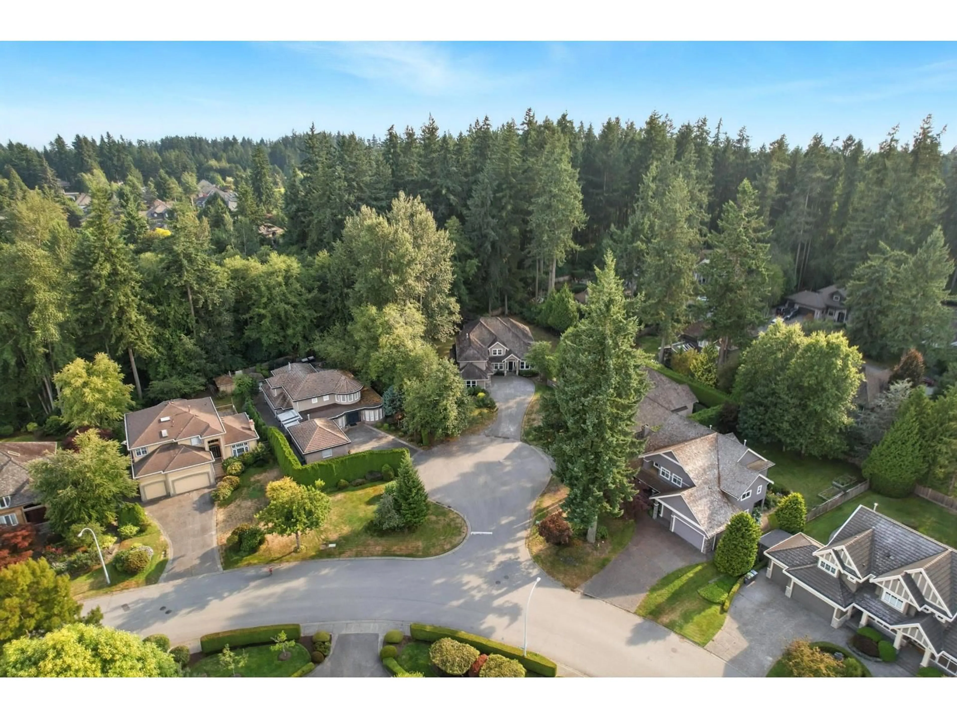 A pic from outside/outdoor area/front of a property/back of a property/a pic from drone, forest/trees view for 2245 133, Surrey British Columbia V4A9T7