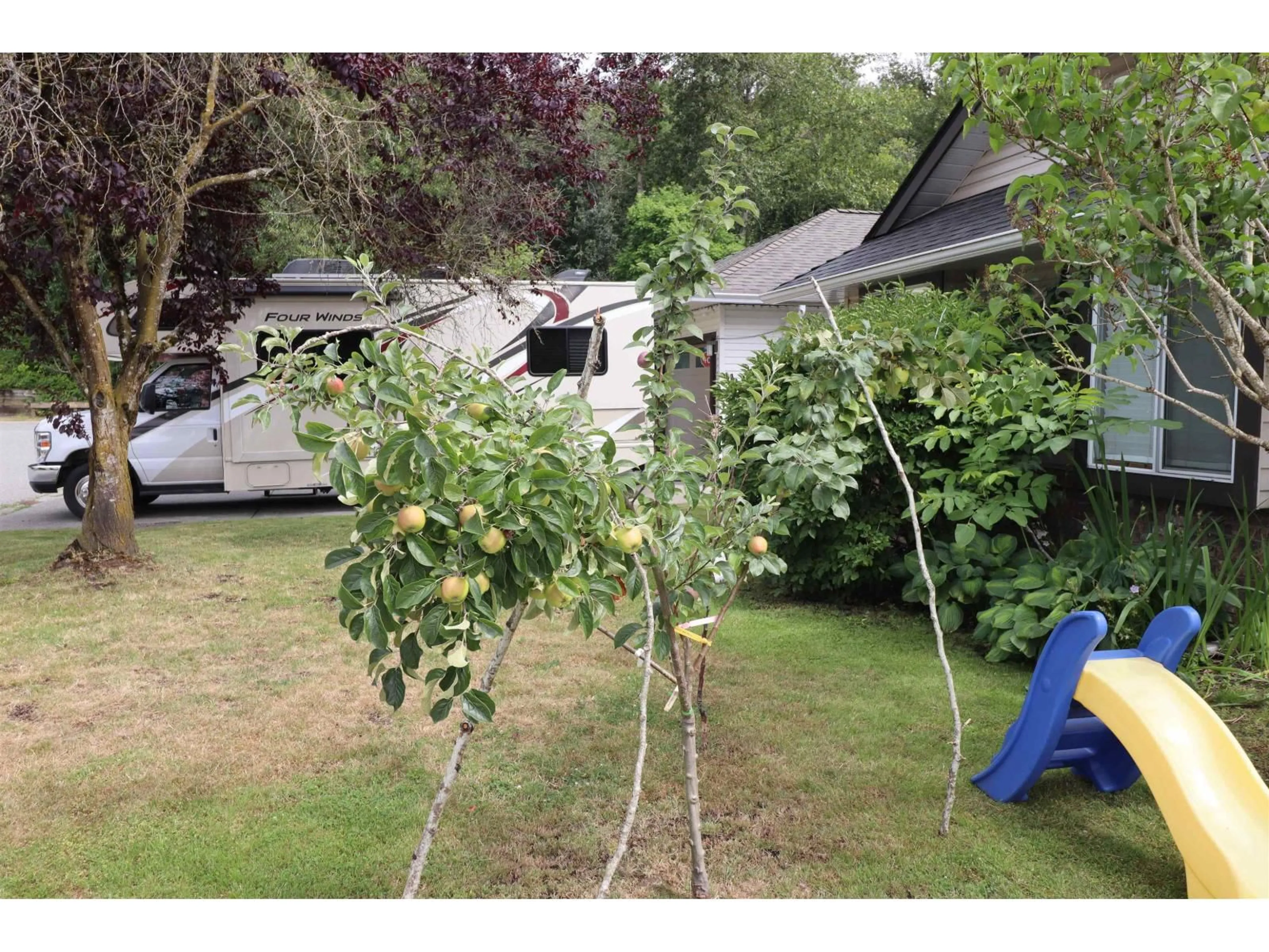 A pic from outside/outdoor area/front of a property/back of a property/a pic from drone, forest/trees view for 35488 LETHBRIDGE, Abbotsford British Columbia V3G1J4