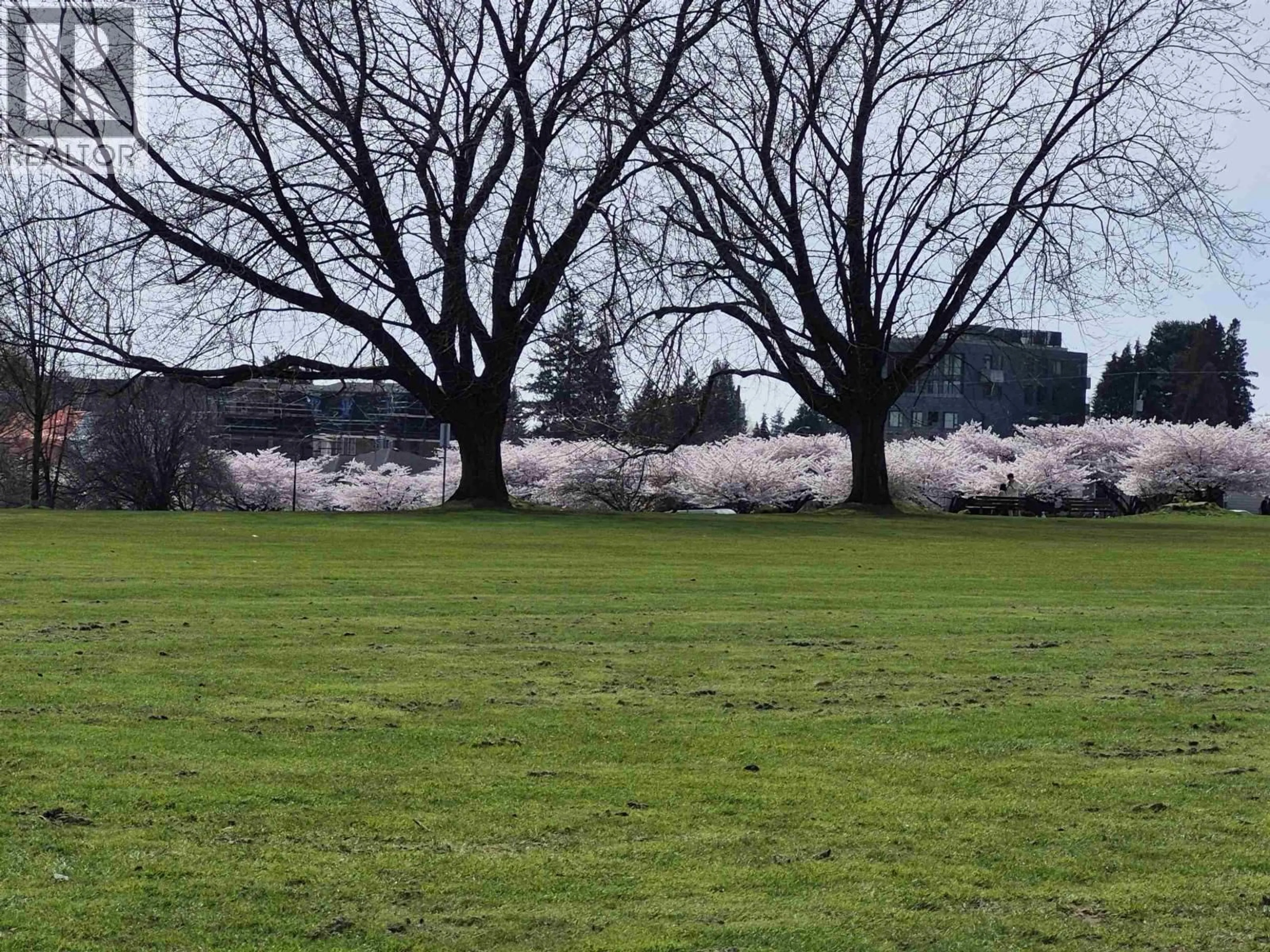 Blurry image for 204 - 375 59TH AVENUE, Vancouver British Columbia V5X0J4