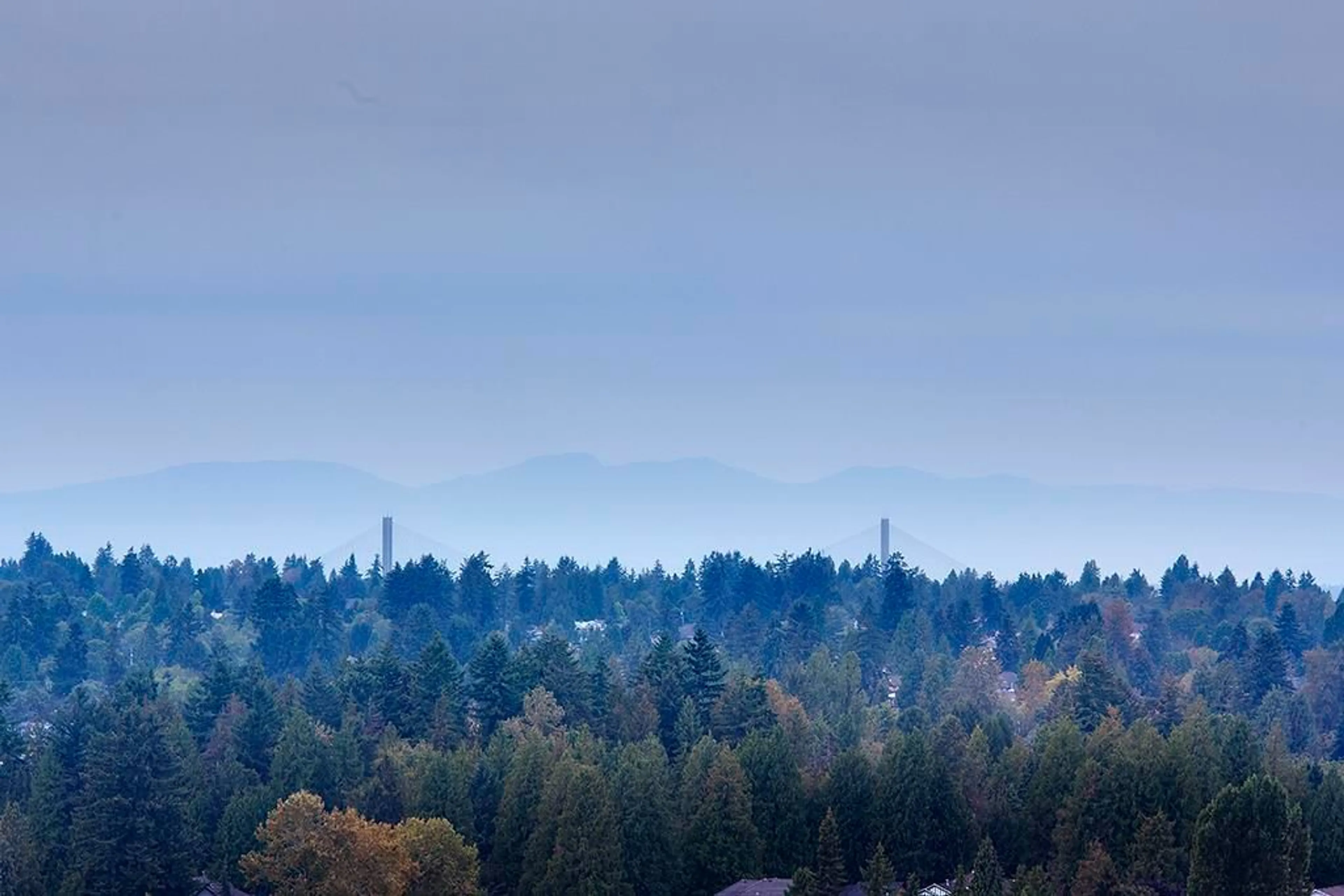 Blurry image for 2510 - 13618 100, Surrey British Columbia V3T0A8
