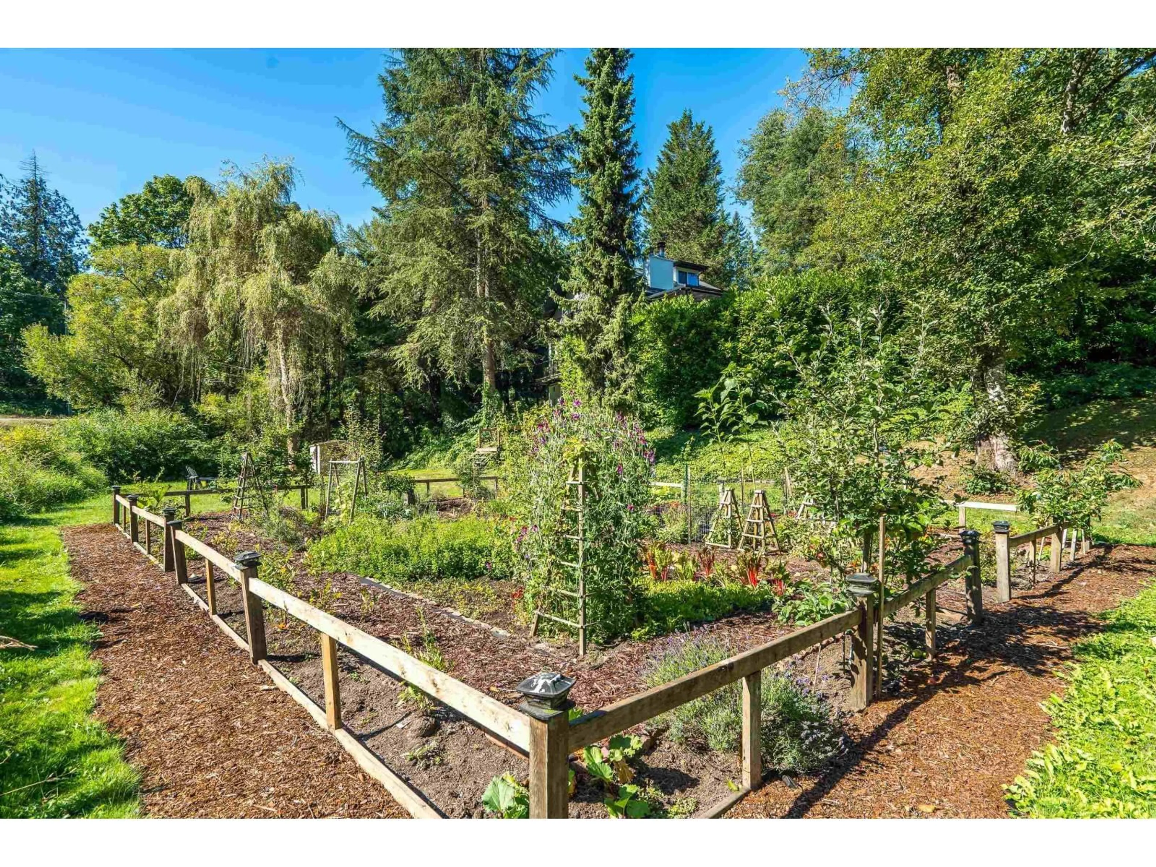 A pic from outside/outdoor area/front of a property/back of a property/a pic from drone, forest/trees view for 23182 RAWLISON, Langley British Columbia V1M3R7