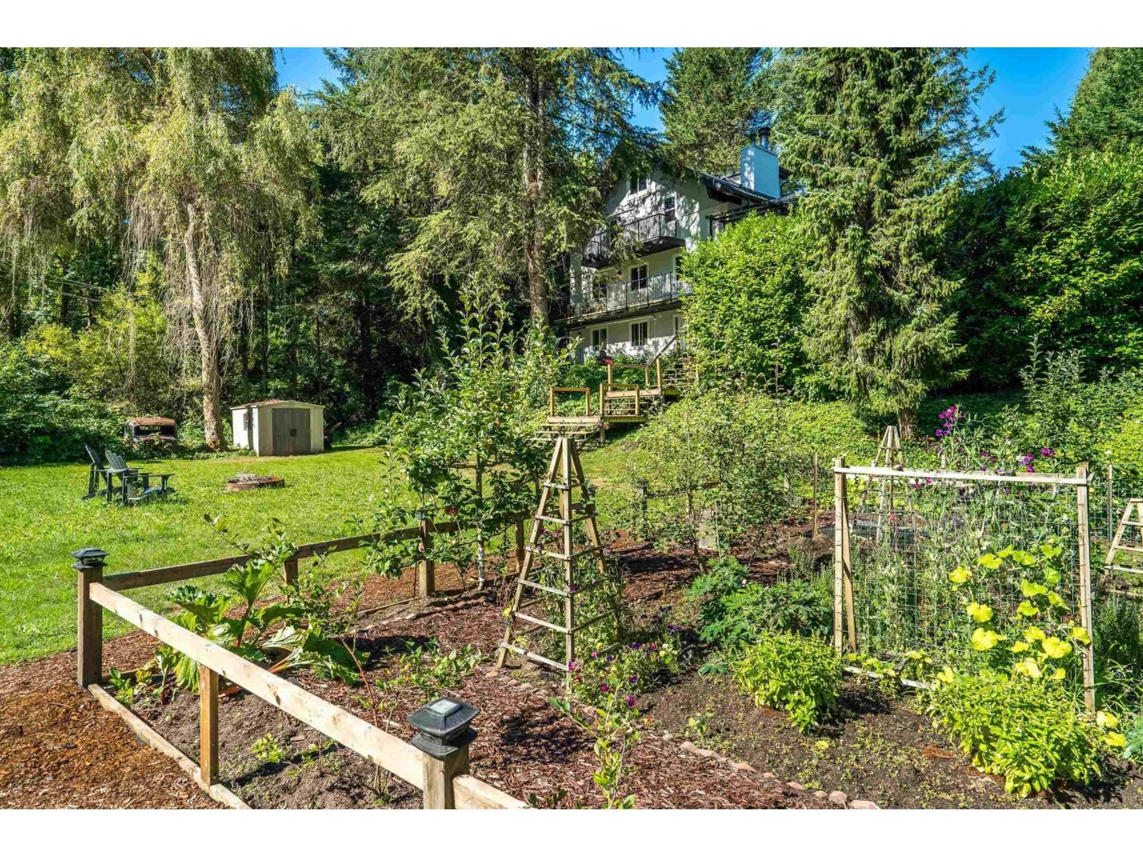 A pic from outside/outdoor area/front of a property/back of a property/a pic from drone, forest/trees view for 23182 RAWLISON, Langley British Columbia V1M3R7