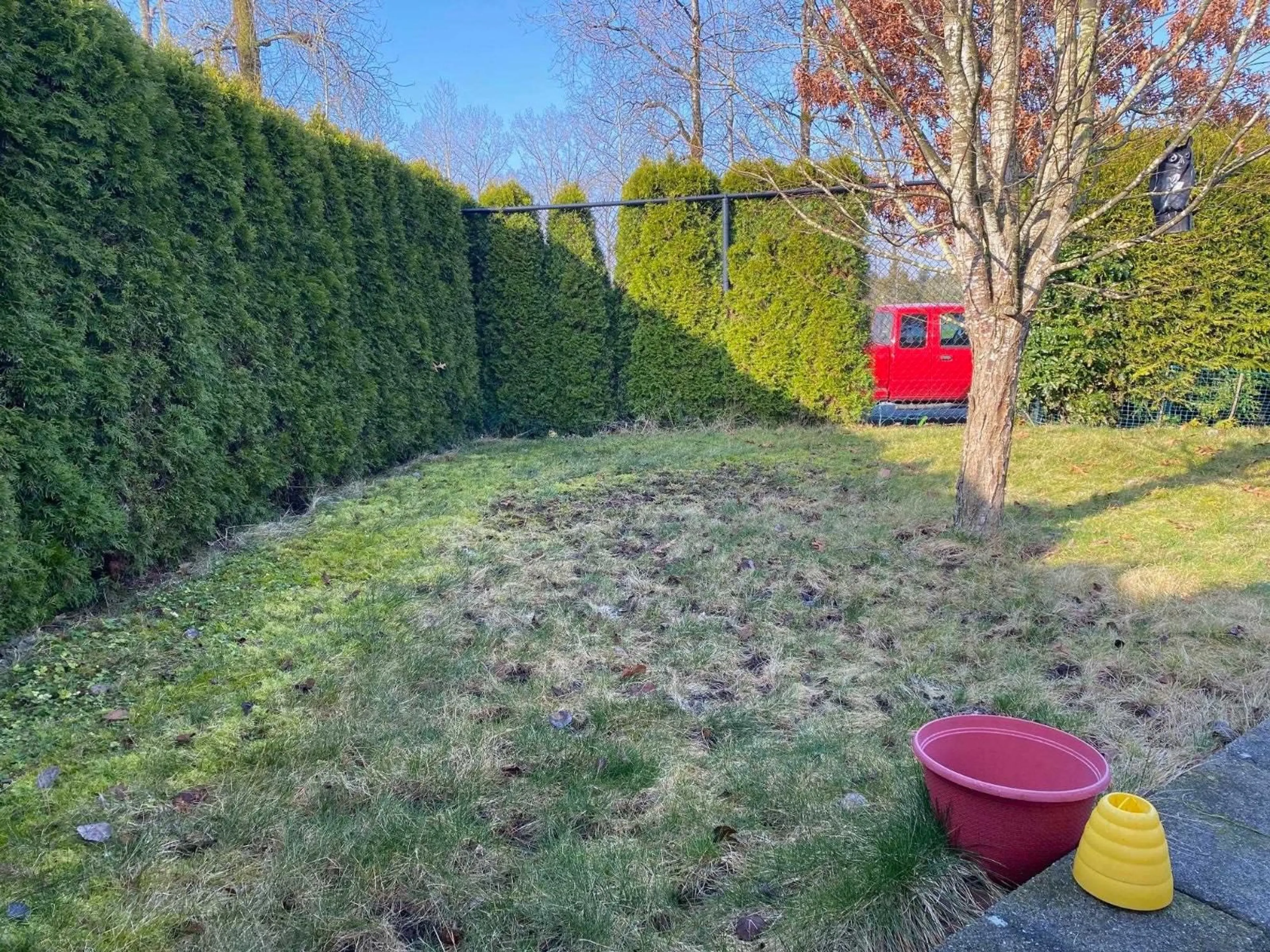 A pic from outside/outdoor area/front of a property/back of a property/a pic from drone, forest/trees view for 126 - 8234 134, Surrey British Columbia V3W4V1