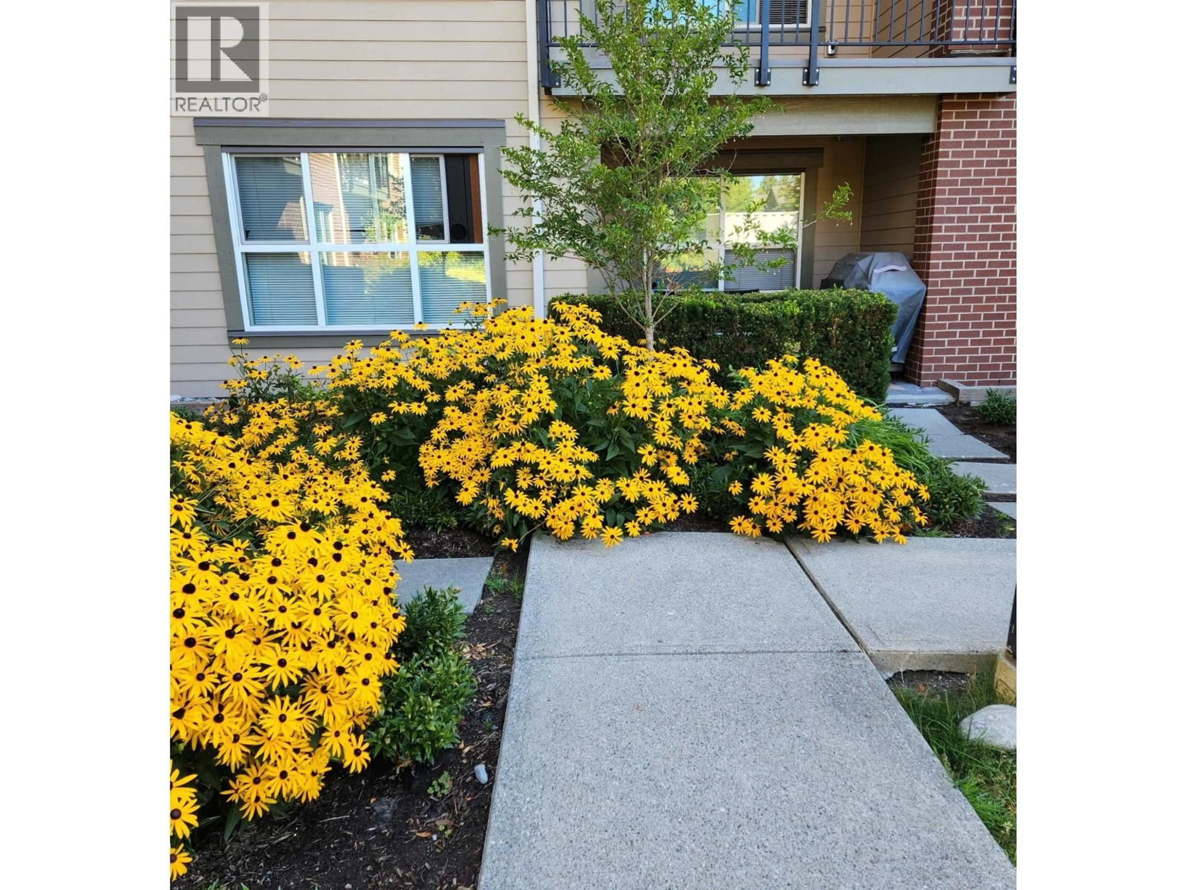 Patio, street for 106 - 5889 IRMIN STREET, Burnaby British Columbia V5J0C1