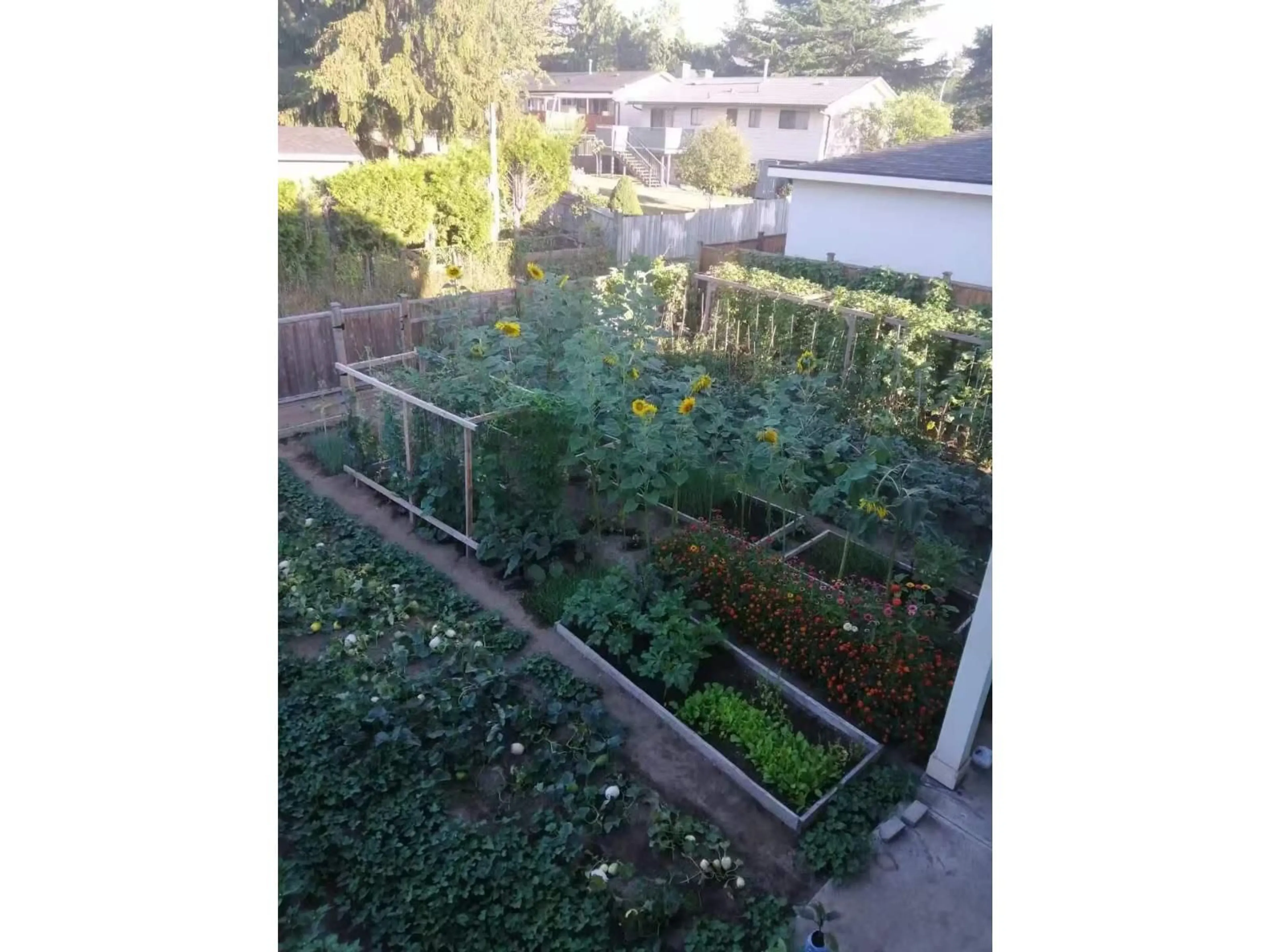 A pic from outside/outdoor area/front of a property/back of a property/a pic from drone, street for 9669 133A STREET, Surrey British Columbia V3T3Z7