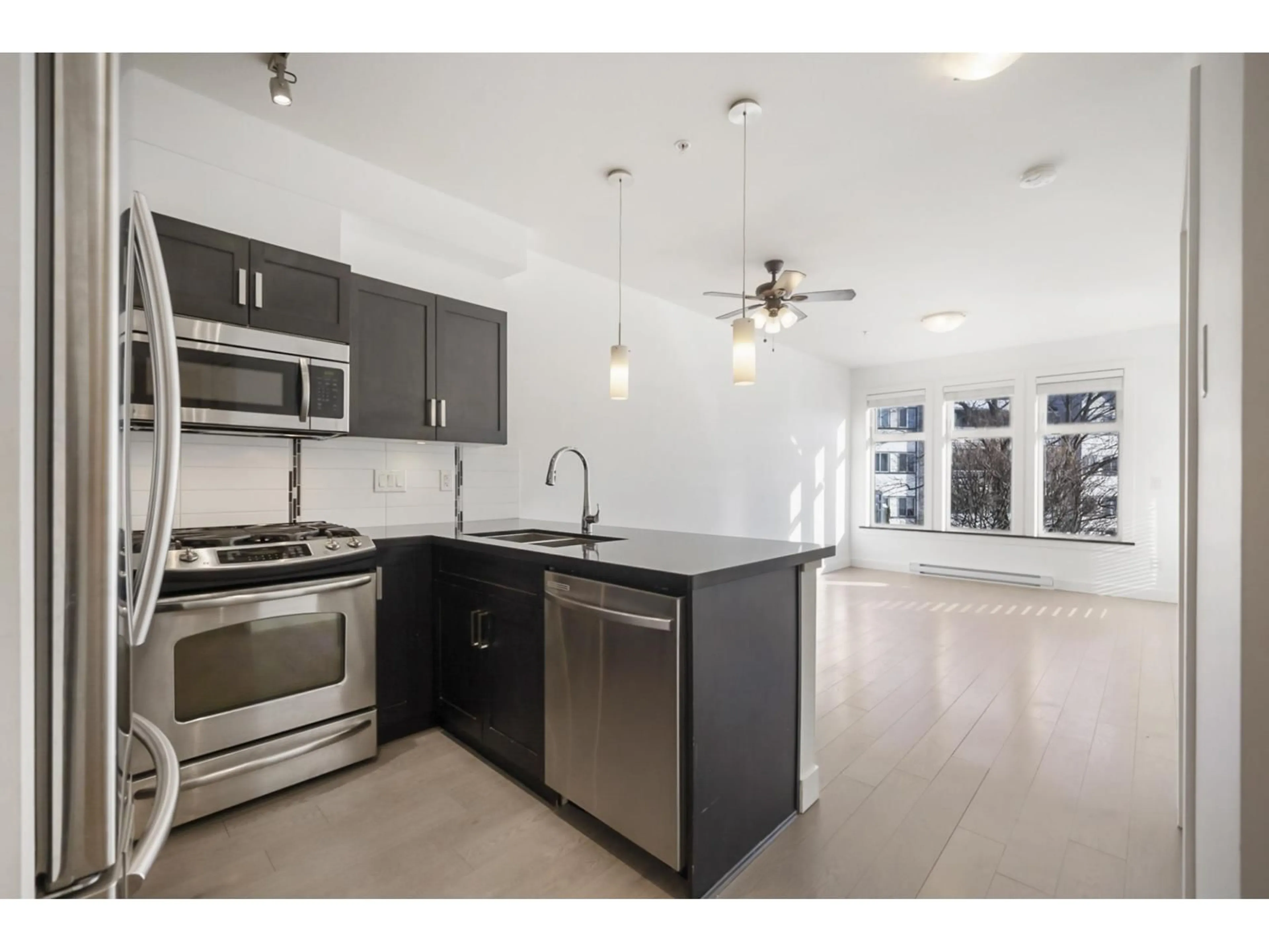 Open concept kitchen, unknown for 206 - 20068 FRASER, Langley British Columbia V3A0H2