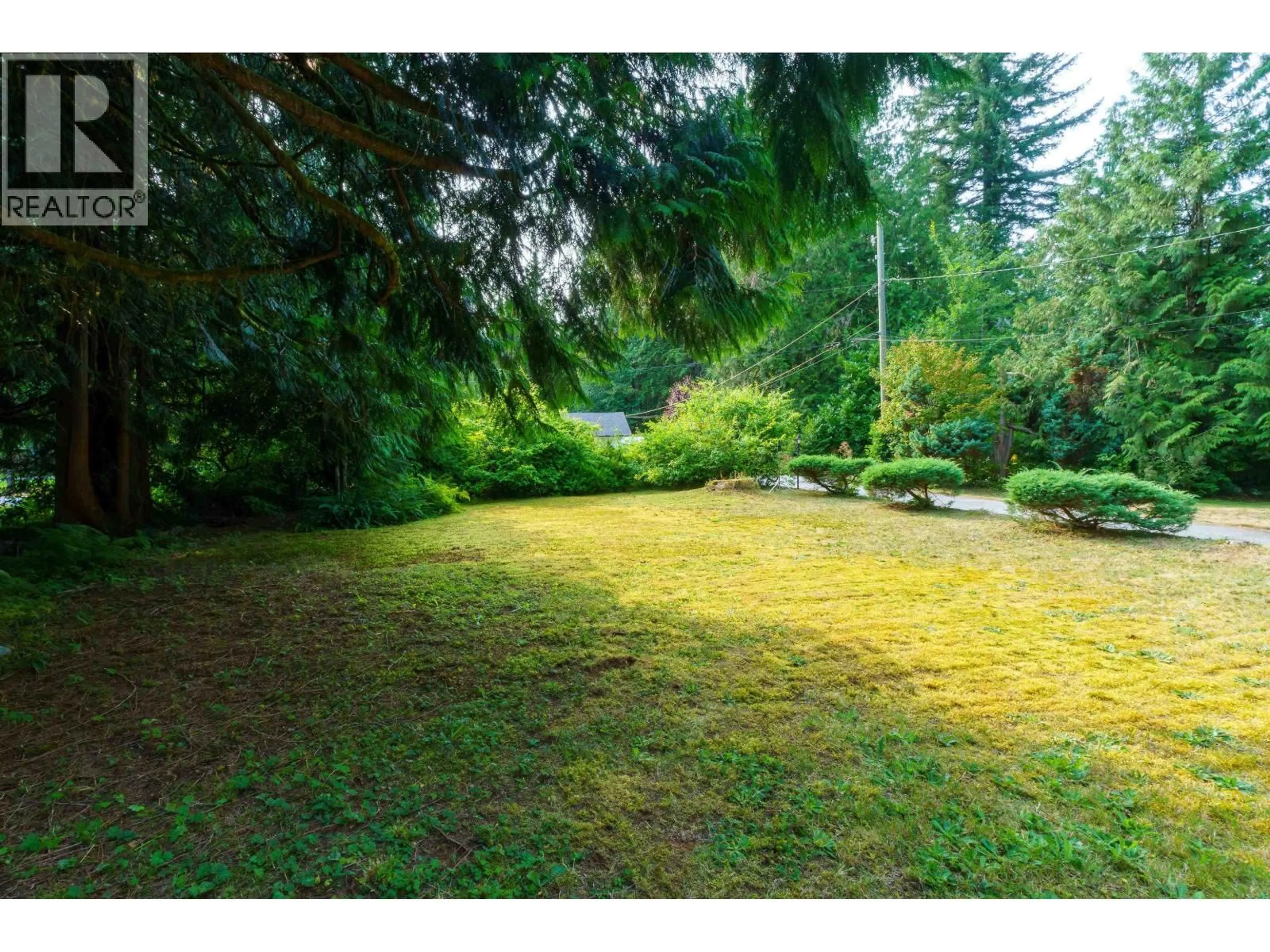 A pic from outside/outdoor area/front of a property/back of a property/a pic from drone, forest/trees view for 11288 GRAHAM STREET, Maple Ridge British Columbia V2W1M9
