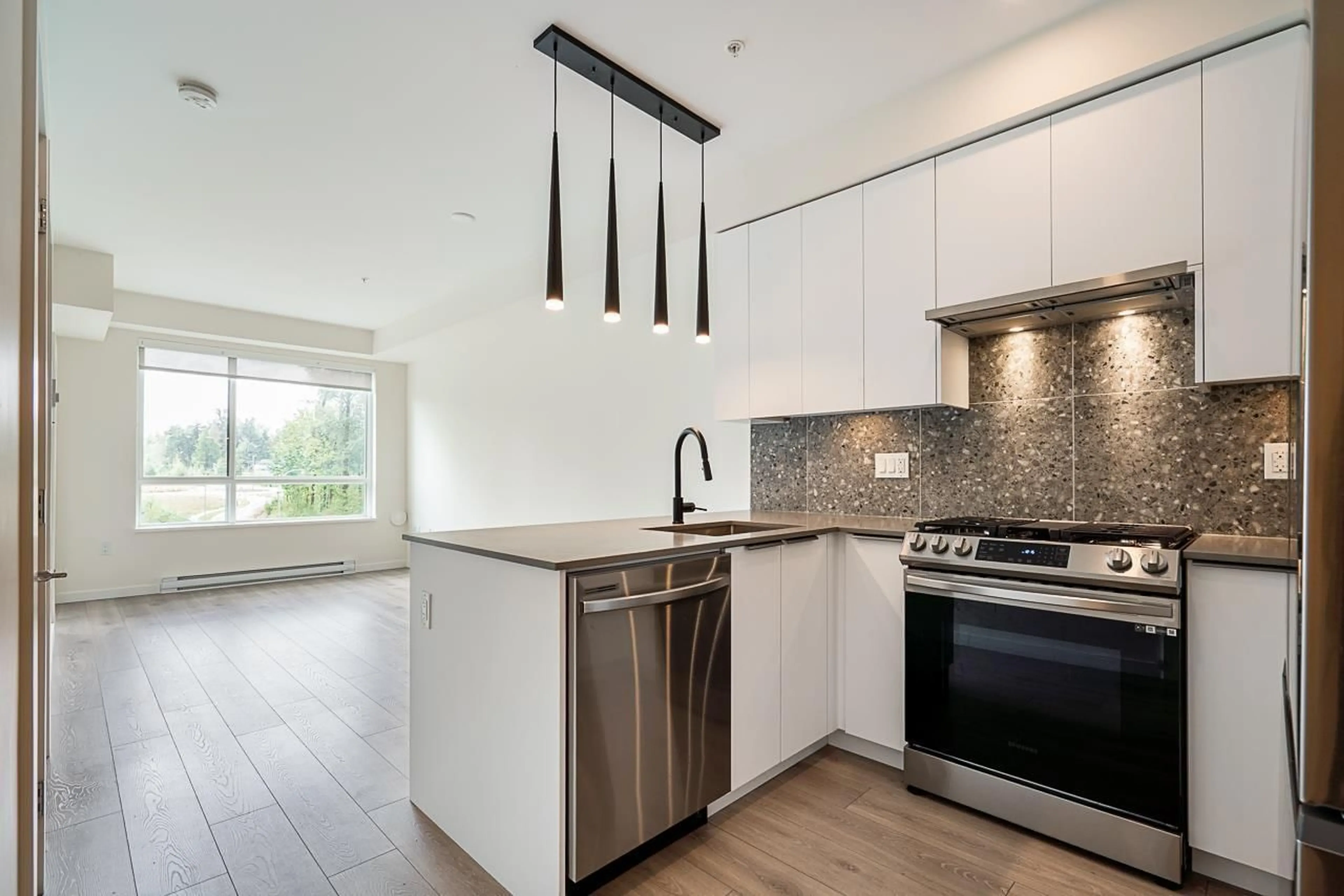 Open concept kitchen, unknown for 311 - 7920 206, Langley British Columbia V2Y3X1