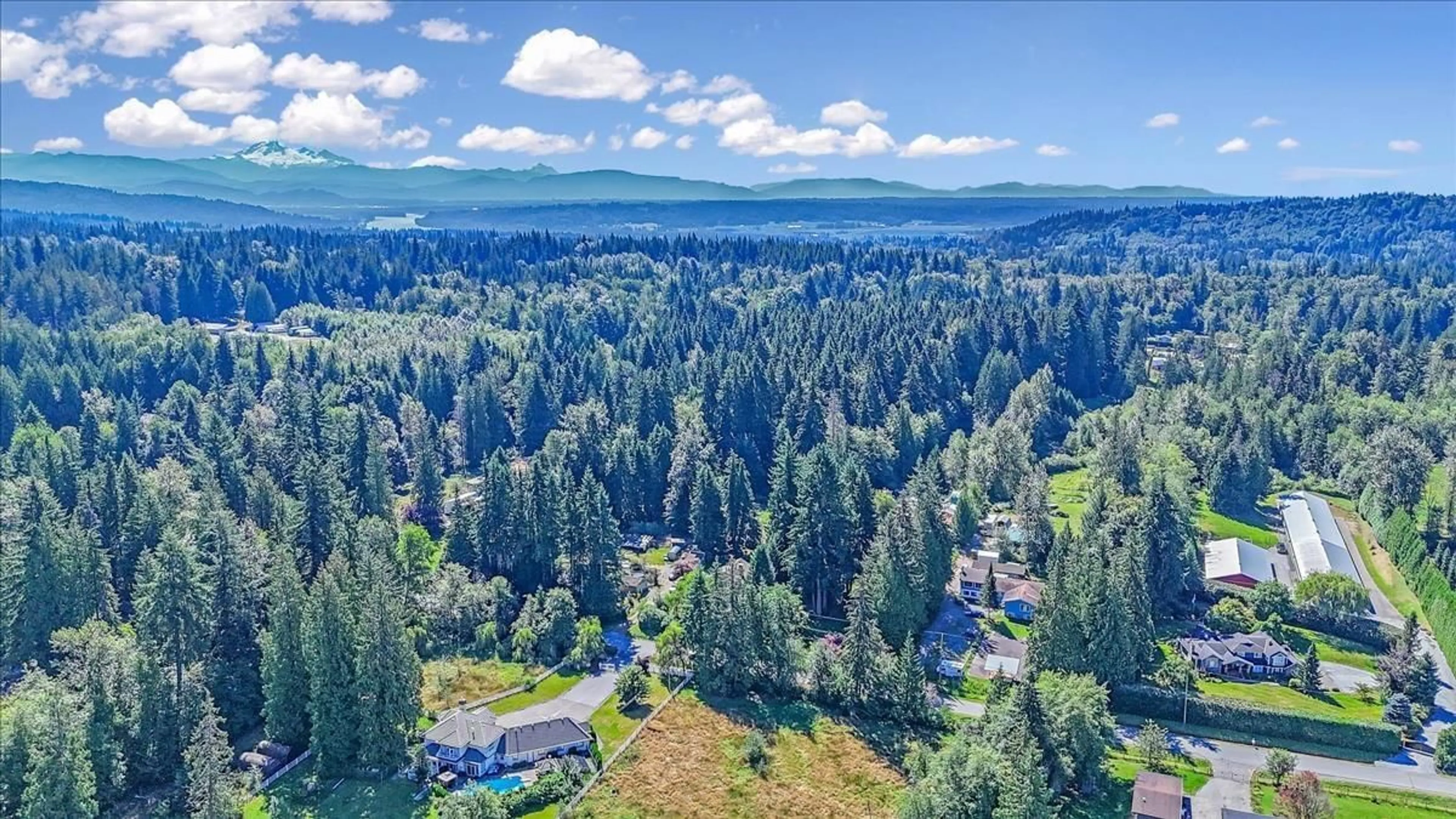 A pic from outside/outdoor area/front of a property/back of a property/a pic from drone, forest/trees view for 10310 RIVER, Delta British Columbia V4C2R5
