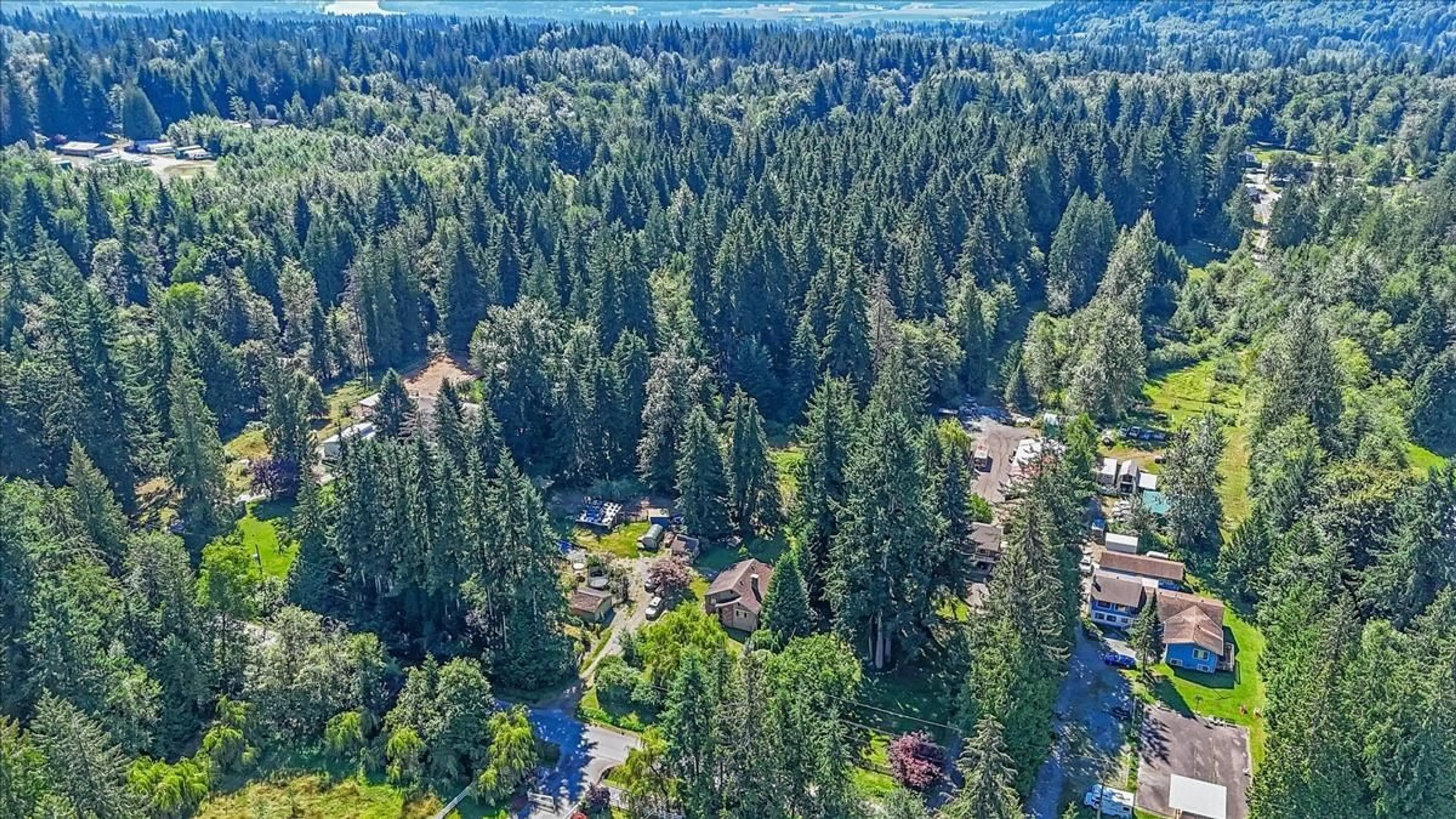 A pic from outside/outdoor area/front of a property/back of a property/a pic from drone, forest/trees view for 10310 RIVER, Delta British Columbia V4C2R5