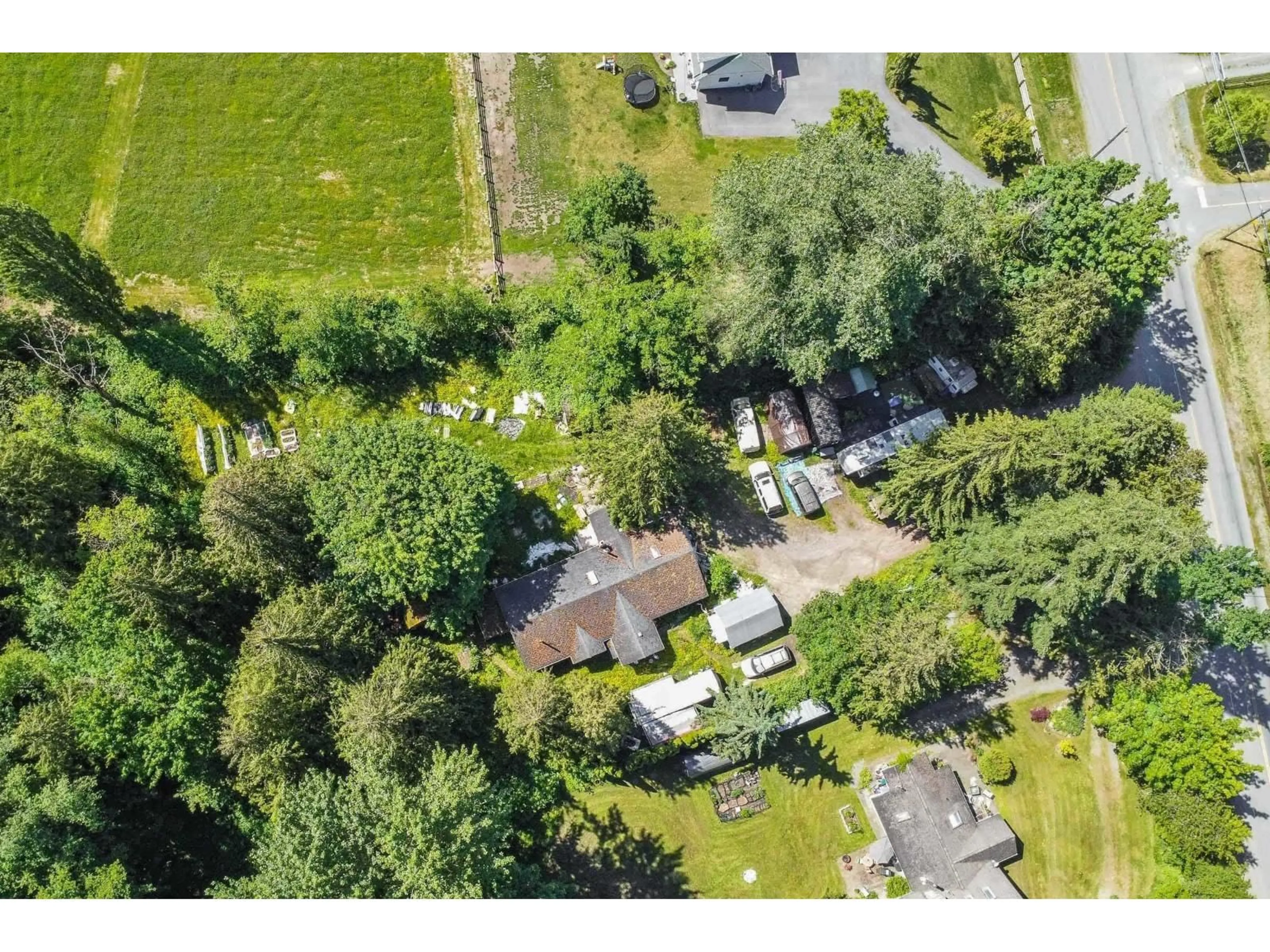 A pic from outside/outdoor area/front of a property/back of a property/a pic from drone, forest/trees view for 410 224, Langley British Columbia V2Z2W5