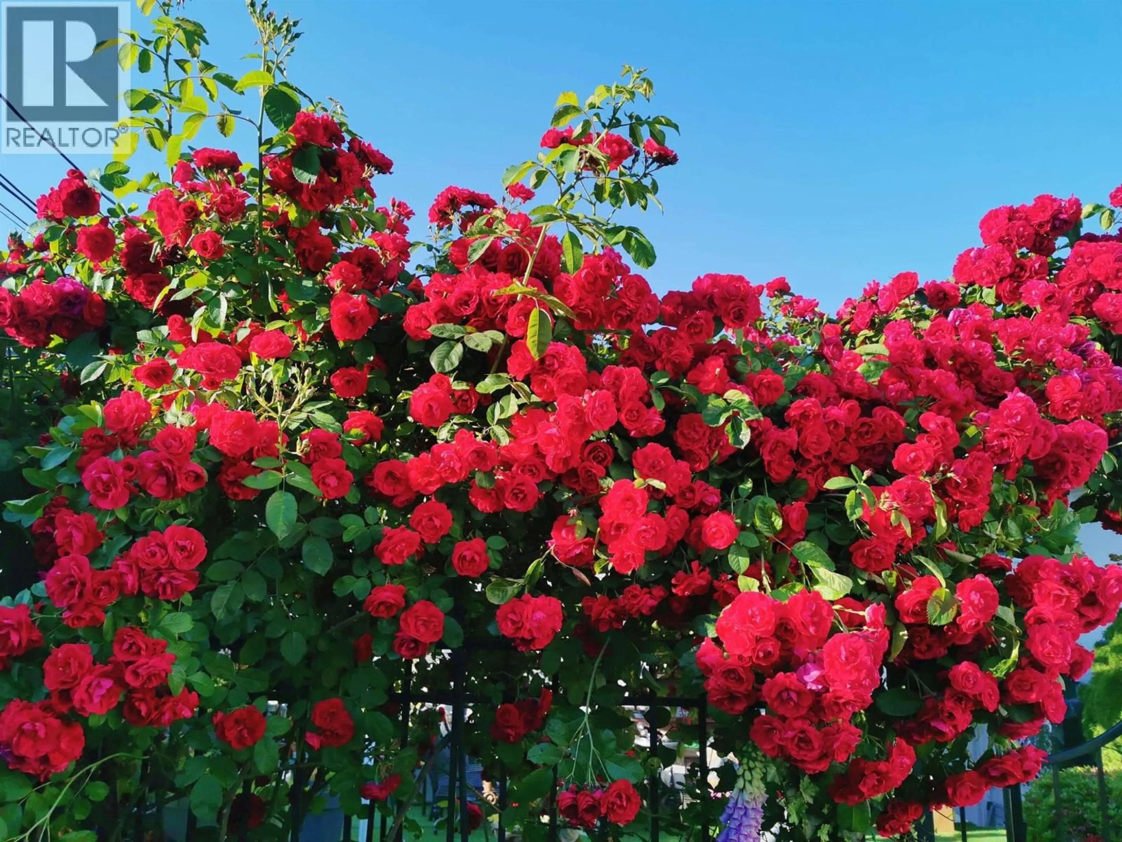 Patio, street for 6593 LOCHDALE STREET, Burnaby British Columbia V5B2M7