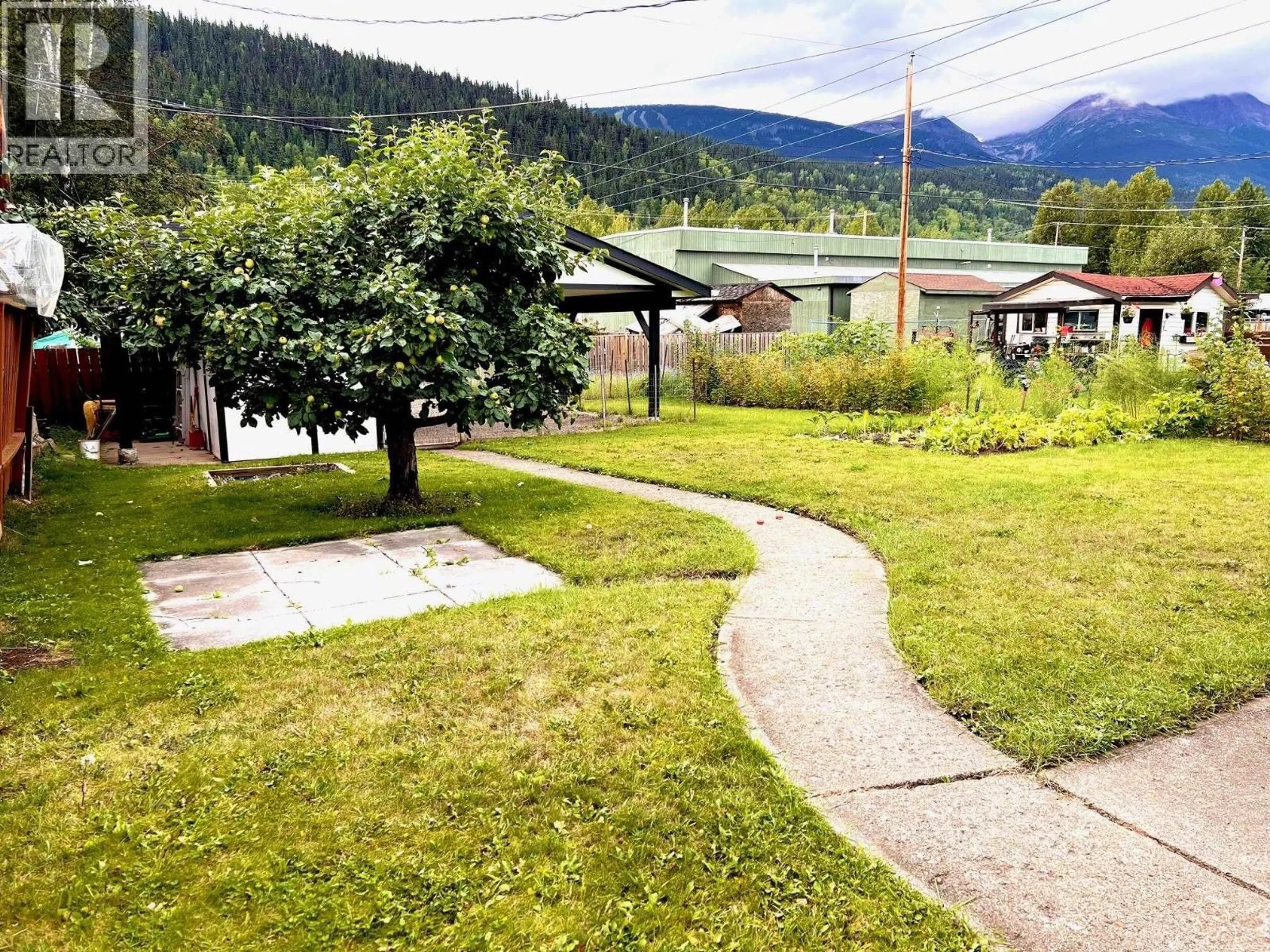 A pic from outside/outdoor area/front of a property/back of a property/a pic from drone, mountain view for 4039 ALFRED AVENUE, Smithers British Columbia V0J2N0
