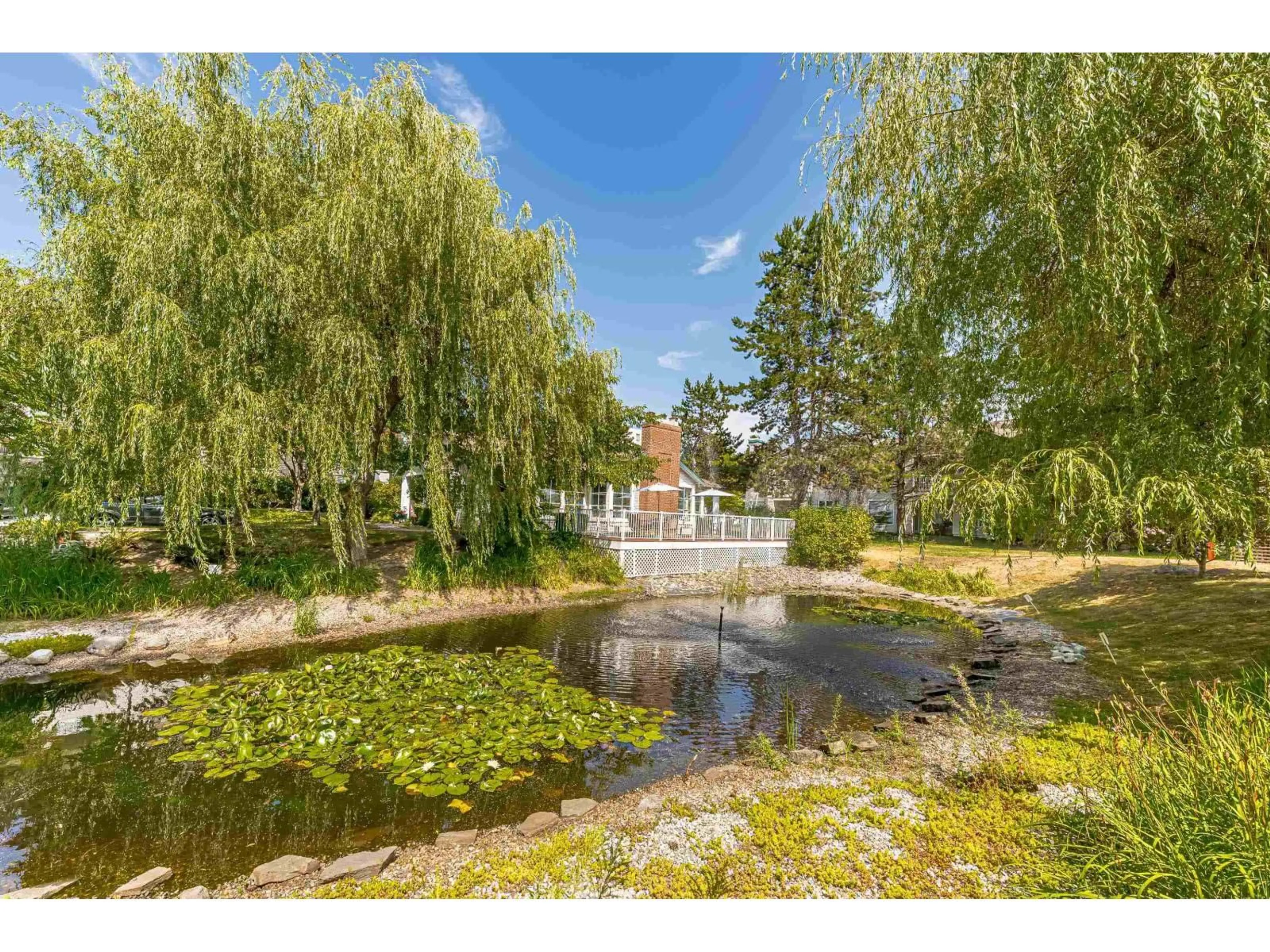A pic from outside/outdoor area/front of a property/back of a property/a pic from drone, water/lake/river/ocean view for 25 - 10038 150, Surrey British Columbia V3R0M8