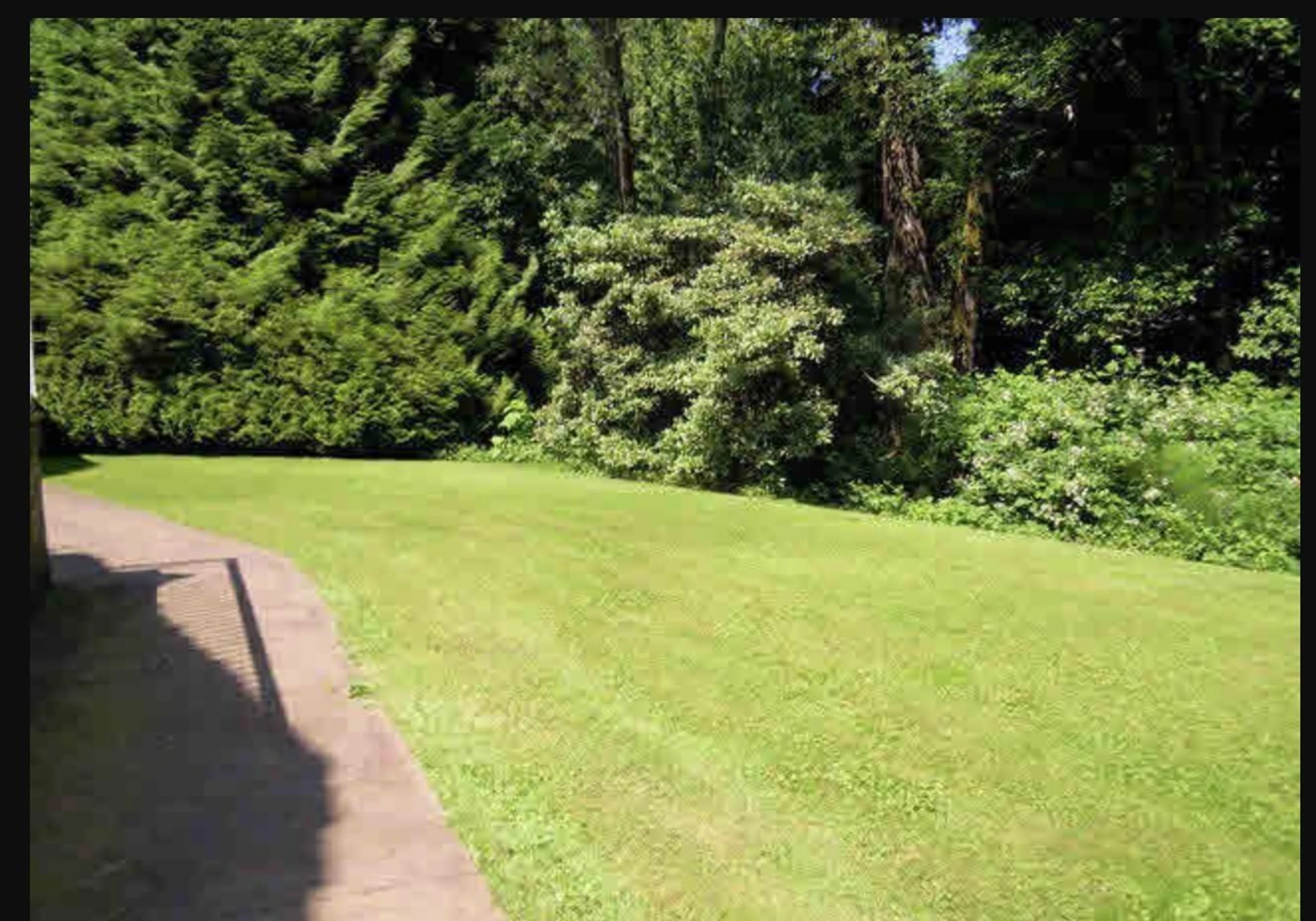 A pic from outside/outdoor area/front of a property/back of a property/a pic from drone, forest/trees view for 17293 4, Surrey British Columbia V3S9P7