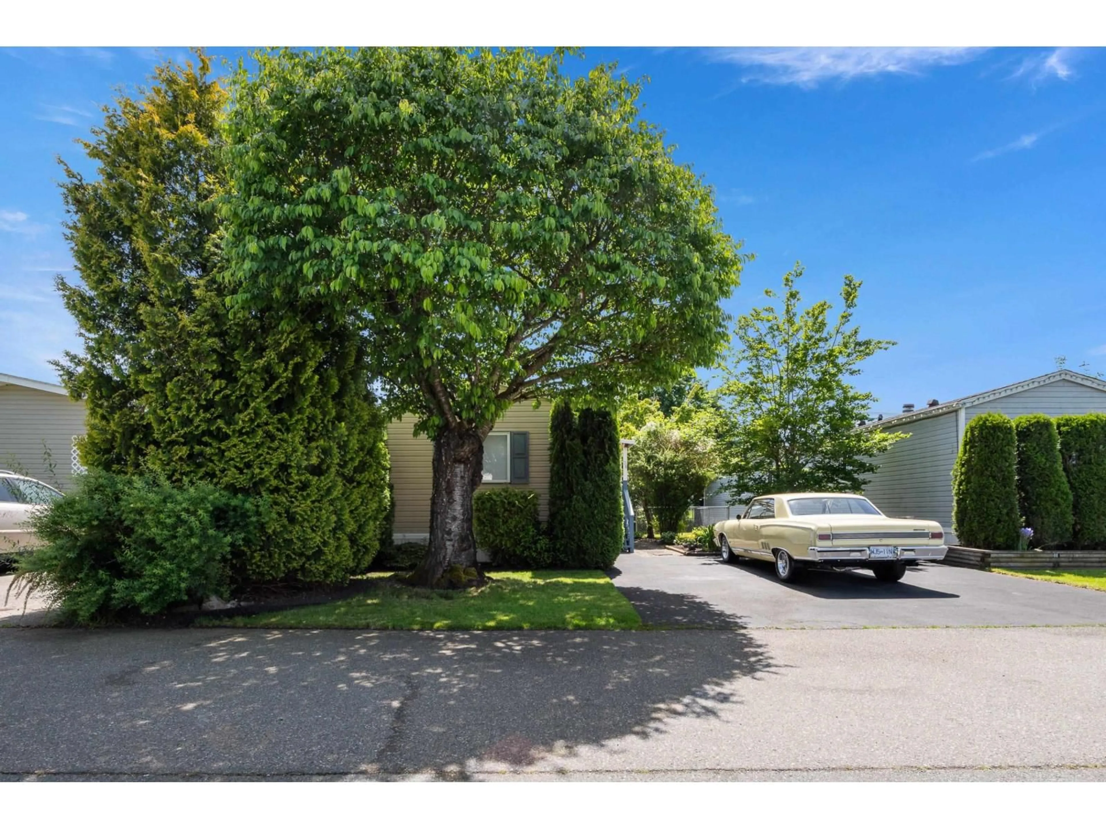 A pic from outside/outdoor area/front of a property/back of a property/a pic from drone, street for 38 - 41168 LOUGHEED, Mission British Columbia V0M1G0