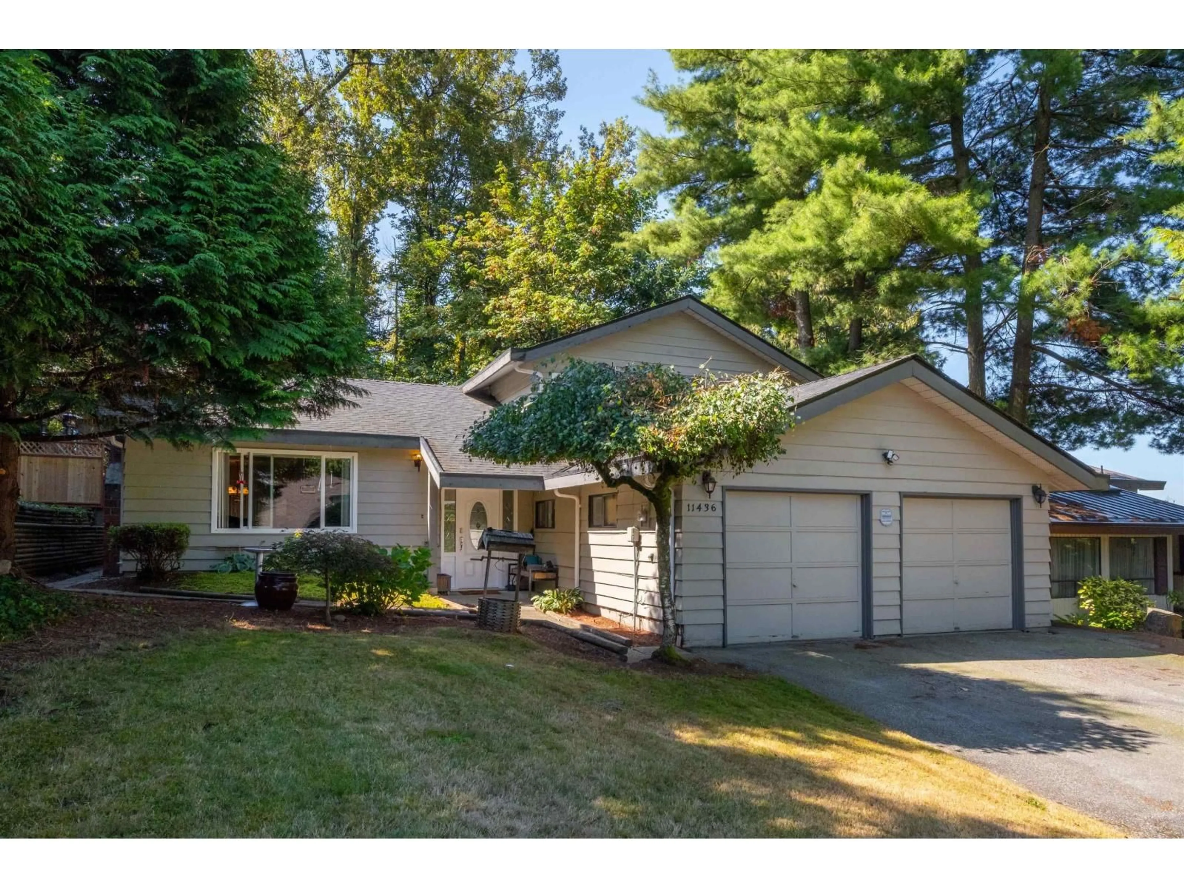 Home with vinyl exterior material, street for 11436 ROYAL, Surrey British Columbia V3V6V6