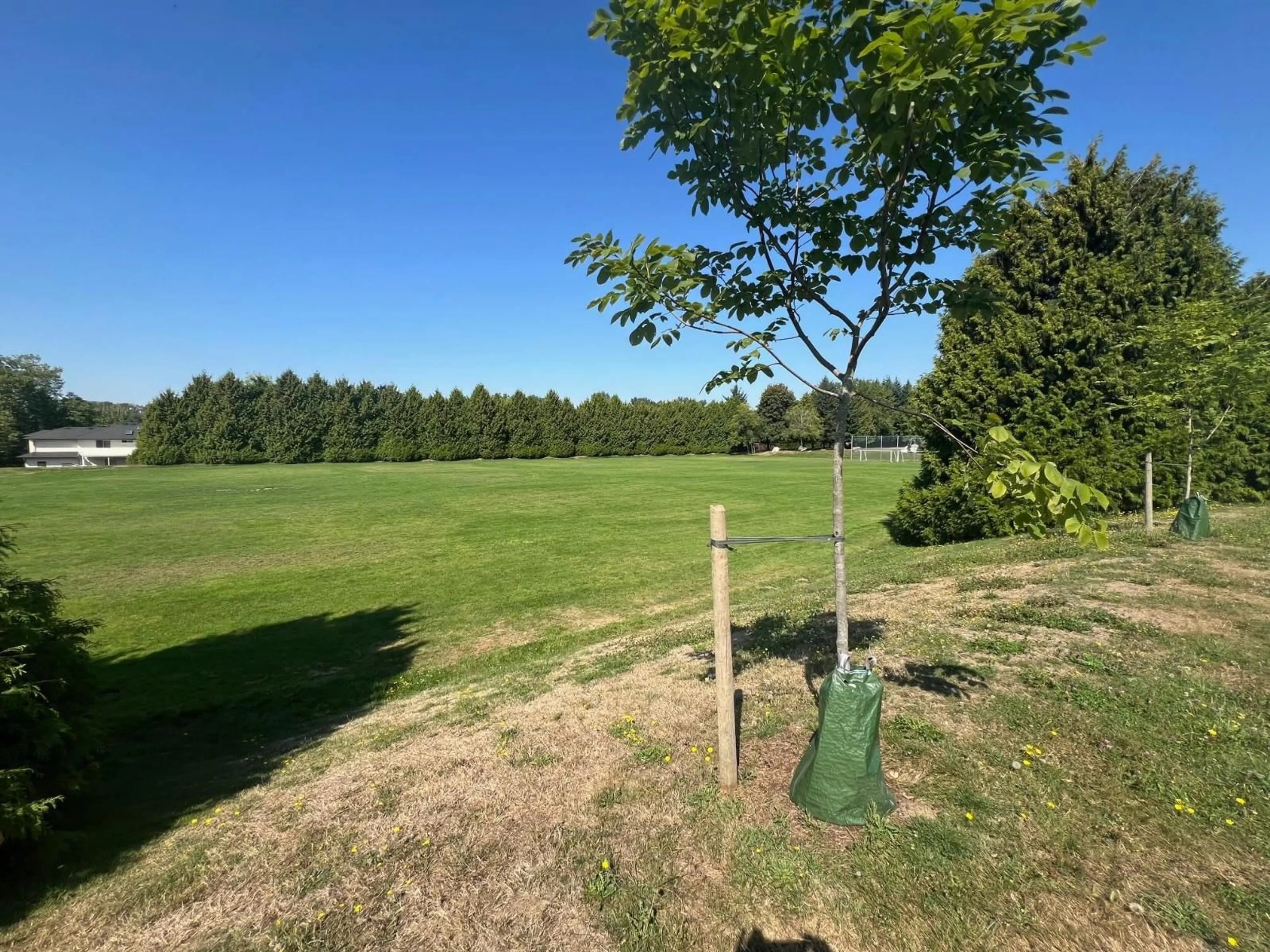 A pic from outside/outdoor area/front of a property/back of a property/a pic from drone, forest/trees view for 14180 85A, Surrey British Columbia V3W2T4