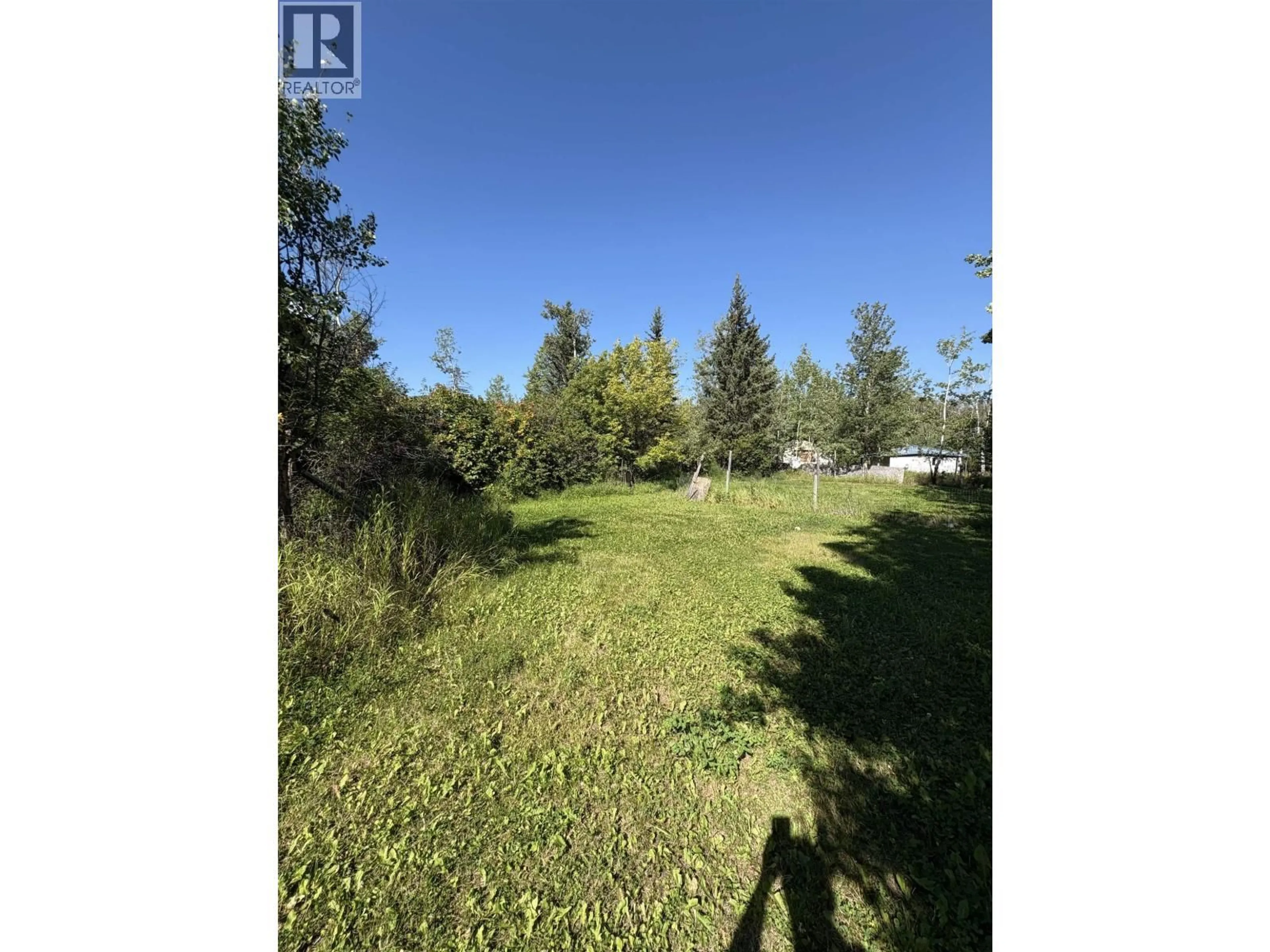 A pic from outside/outdoor area/front of a property/back of a property/a pic from drone, forest/trees view for 10105 PAQUETTE AVENUE, Hudsons Hope British Columbia V0C1V0