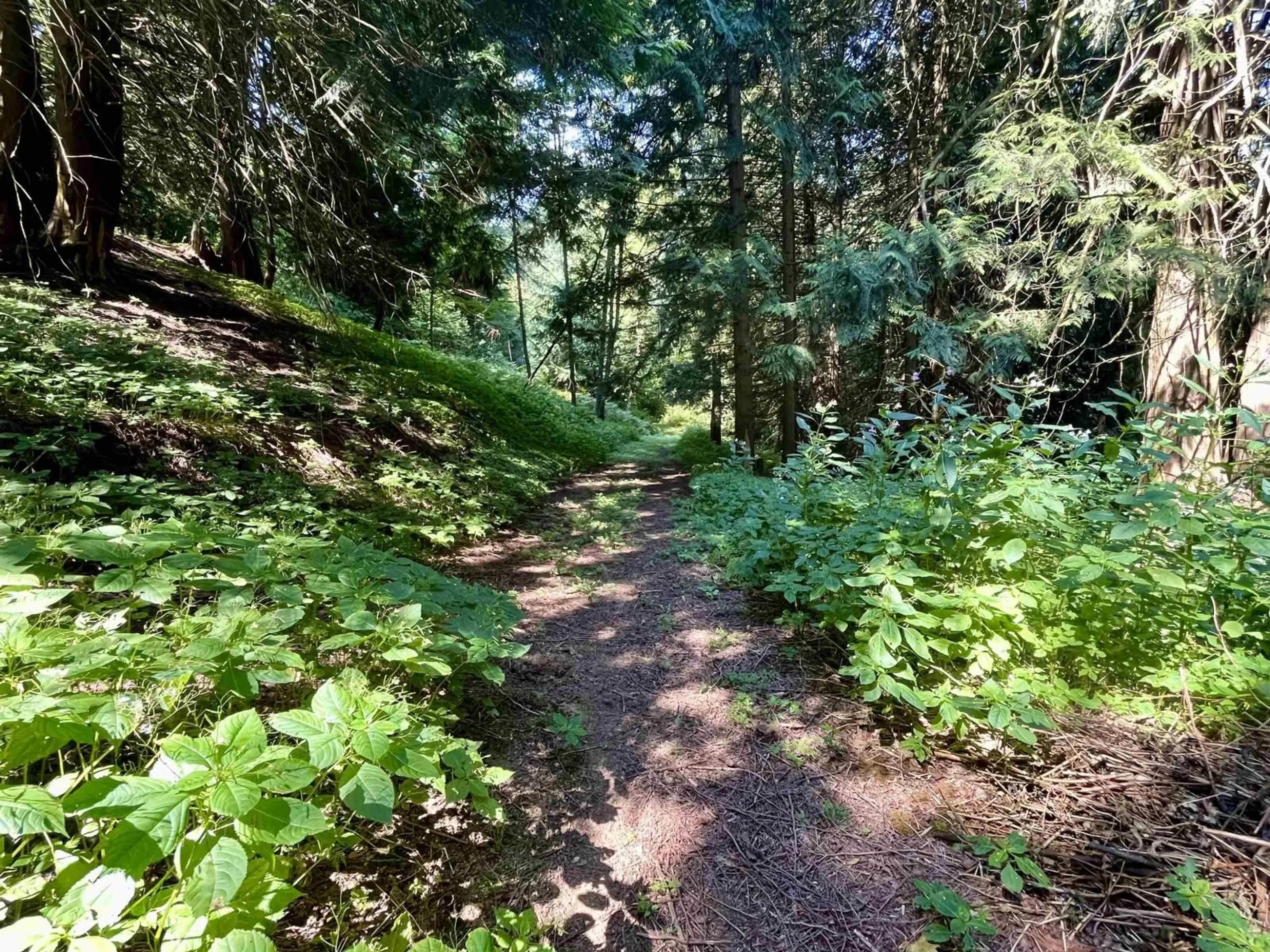 Unknown for 6080 ROSS ROAD, Ryder Lake British Columbia V2R4S6