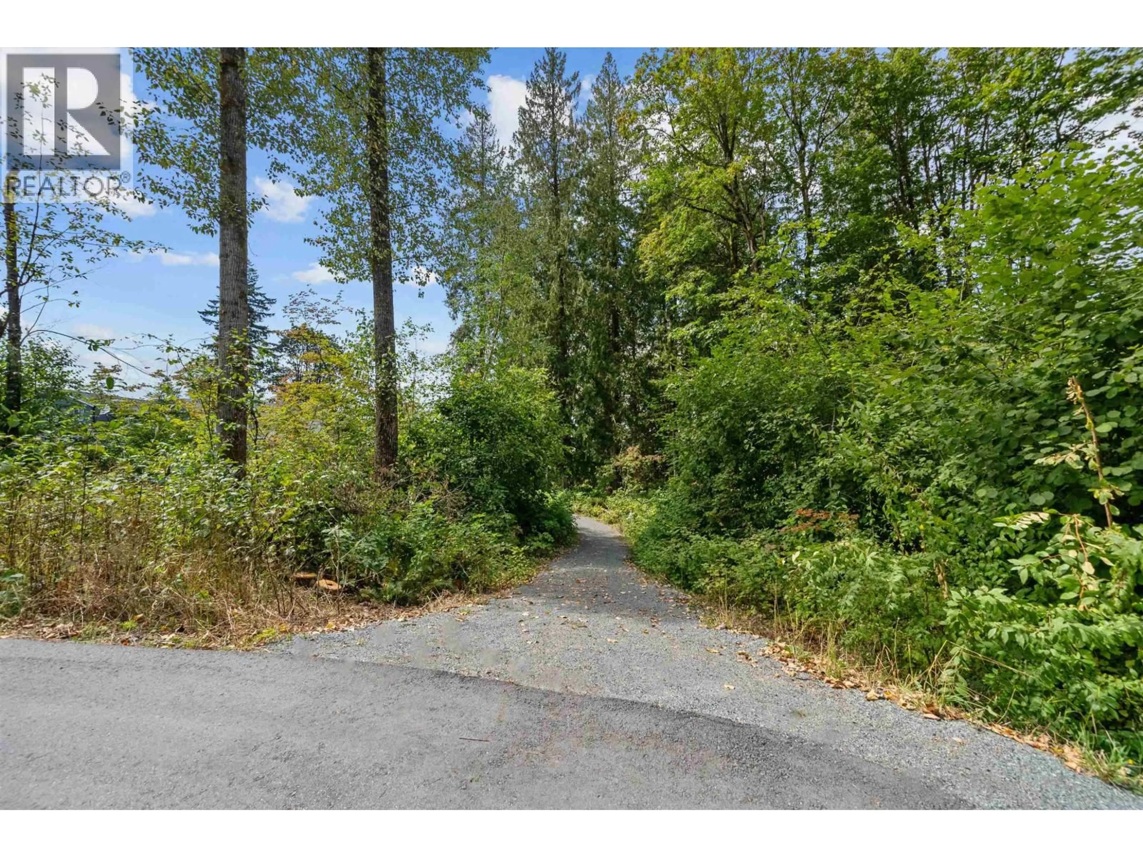 A pic from outside/outdoor area/front of a property/back of a property/a pic from drone, forest/trees view for 11253 252 STREET, Maple Ridge British Columbia V0V0V0