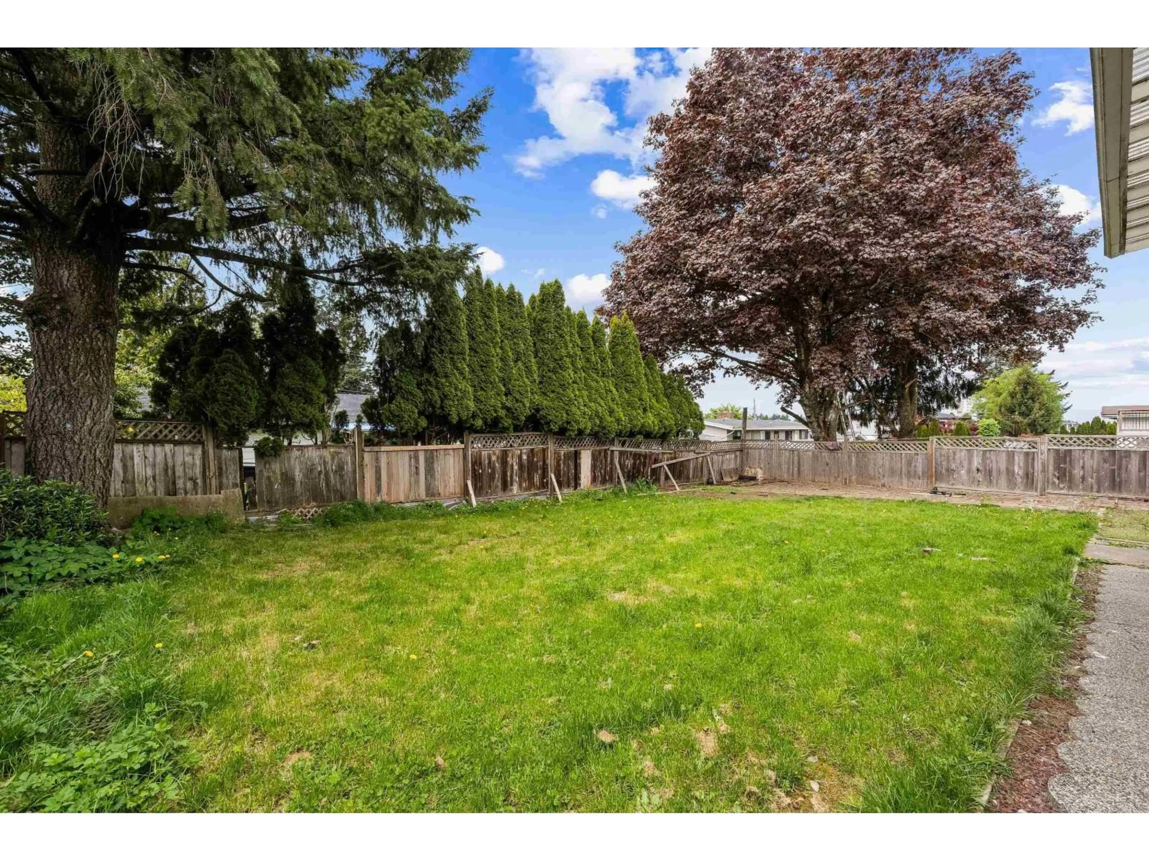 A pic from outside/outdoor area/front of a property/back of a property/a pic from drone, forest/trees view for 2519 MAGNOLIA, Abbotsford British Columbia V2T3N1