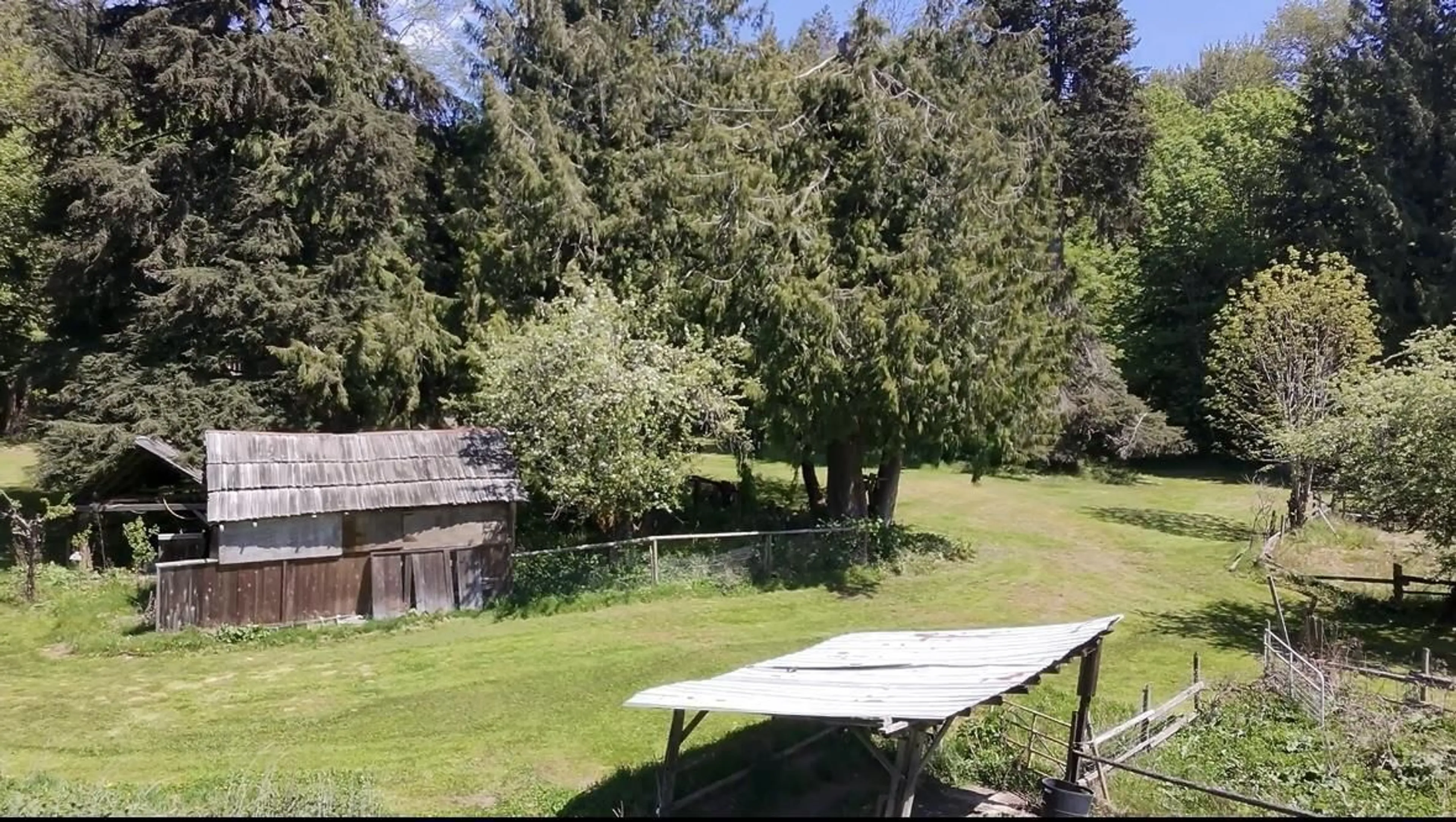 Patio, forest/trees view for 55270 CHILLIWACK BENCH FSR ROAD, Chilliwack British Columbia V4Z1B3