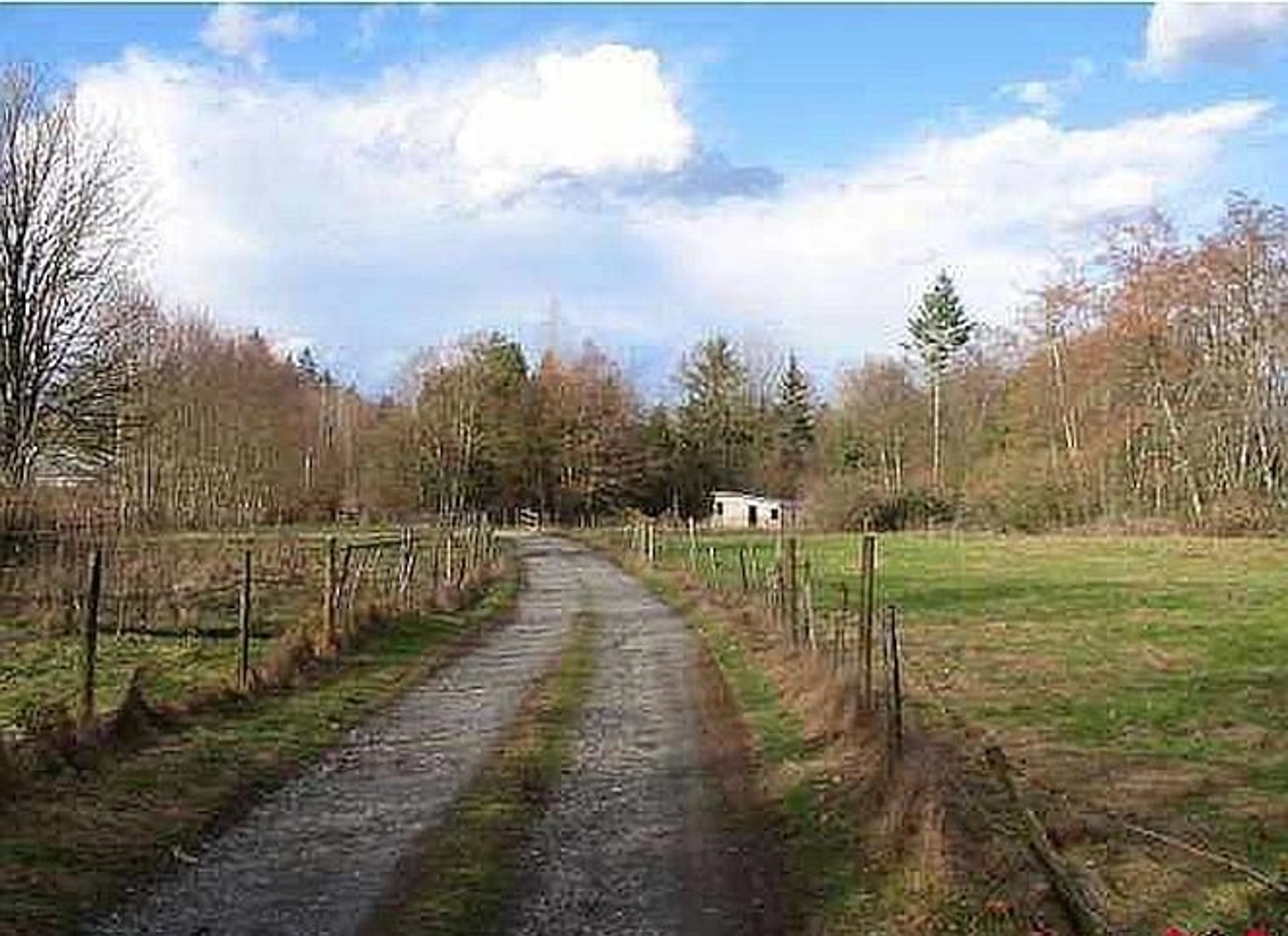 A pic from outside/outdoor area/front of a property/back of a property/a pic from drone, forest/trees view for 19607 80, Langley British Columbia V3A4P7