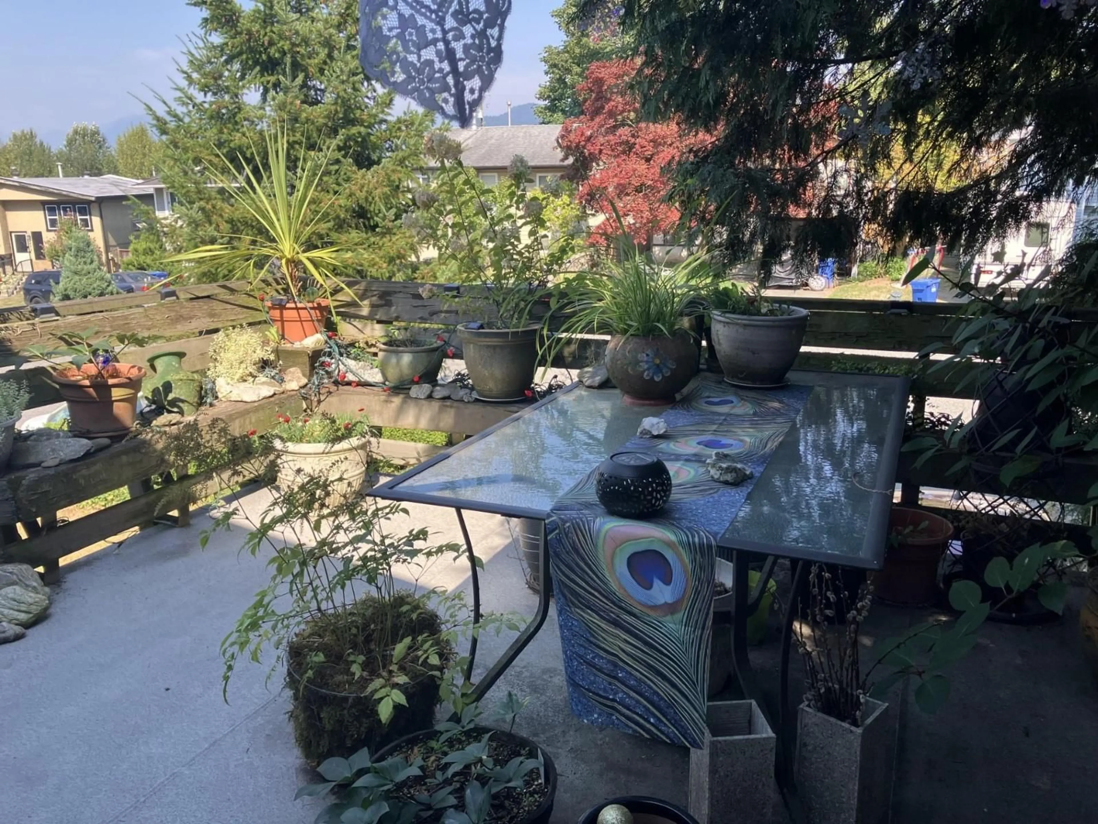 Patio, street for 3470 JUNIPER, Abbotsford British Columbia V2S7R1
