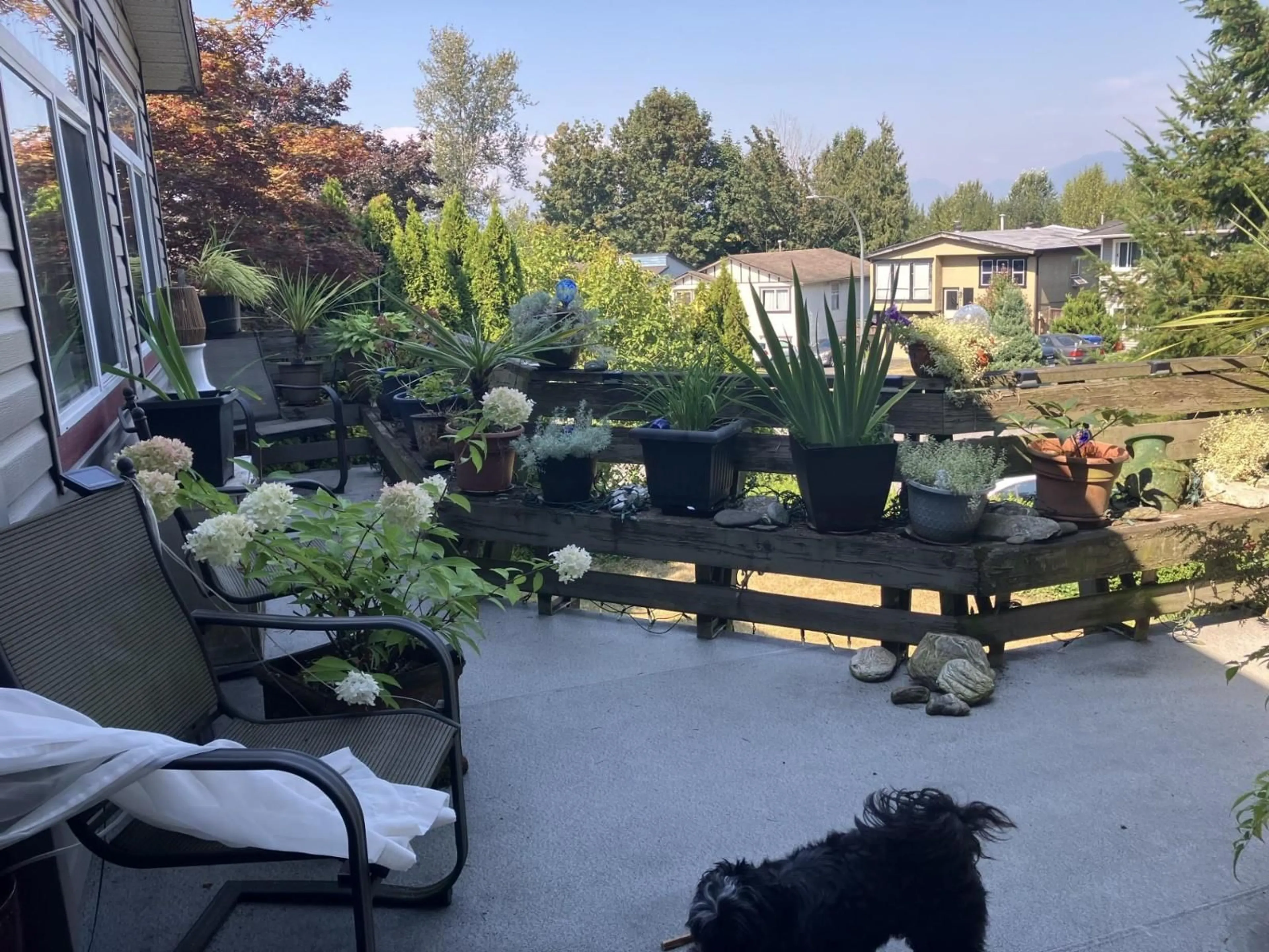 Patio, mountain view for 3470 JUNIPER, Abbotsford British Columbia V2S7R1