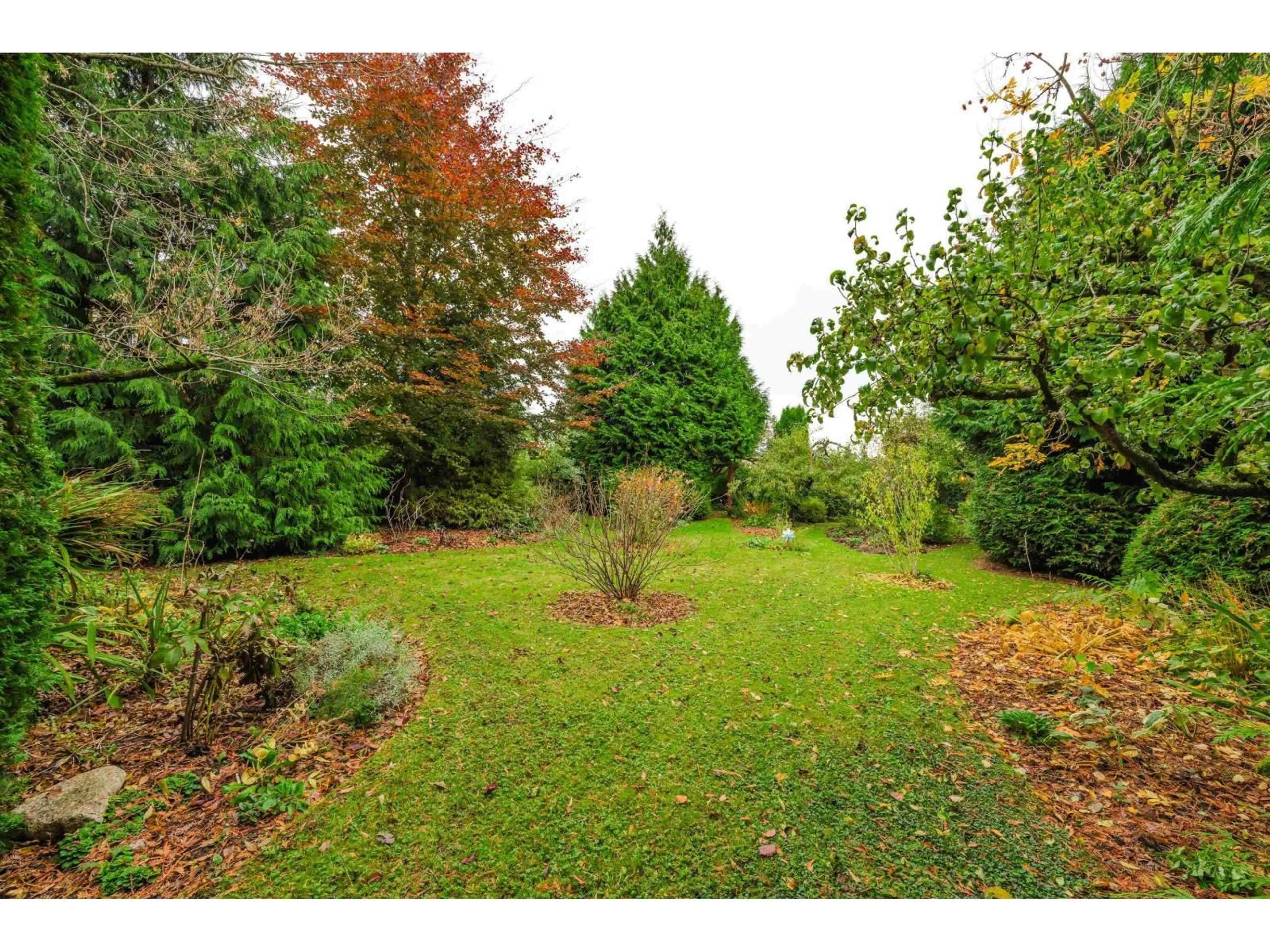 A pic from outside/outdoor area/front of a property/back of a property/a pic from drone, forest/trees view for 1320 KENT, White Rock British Columbia V4B4T7