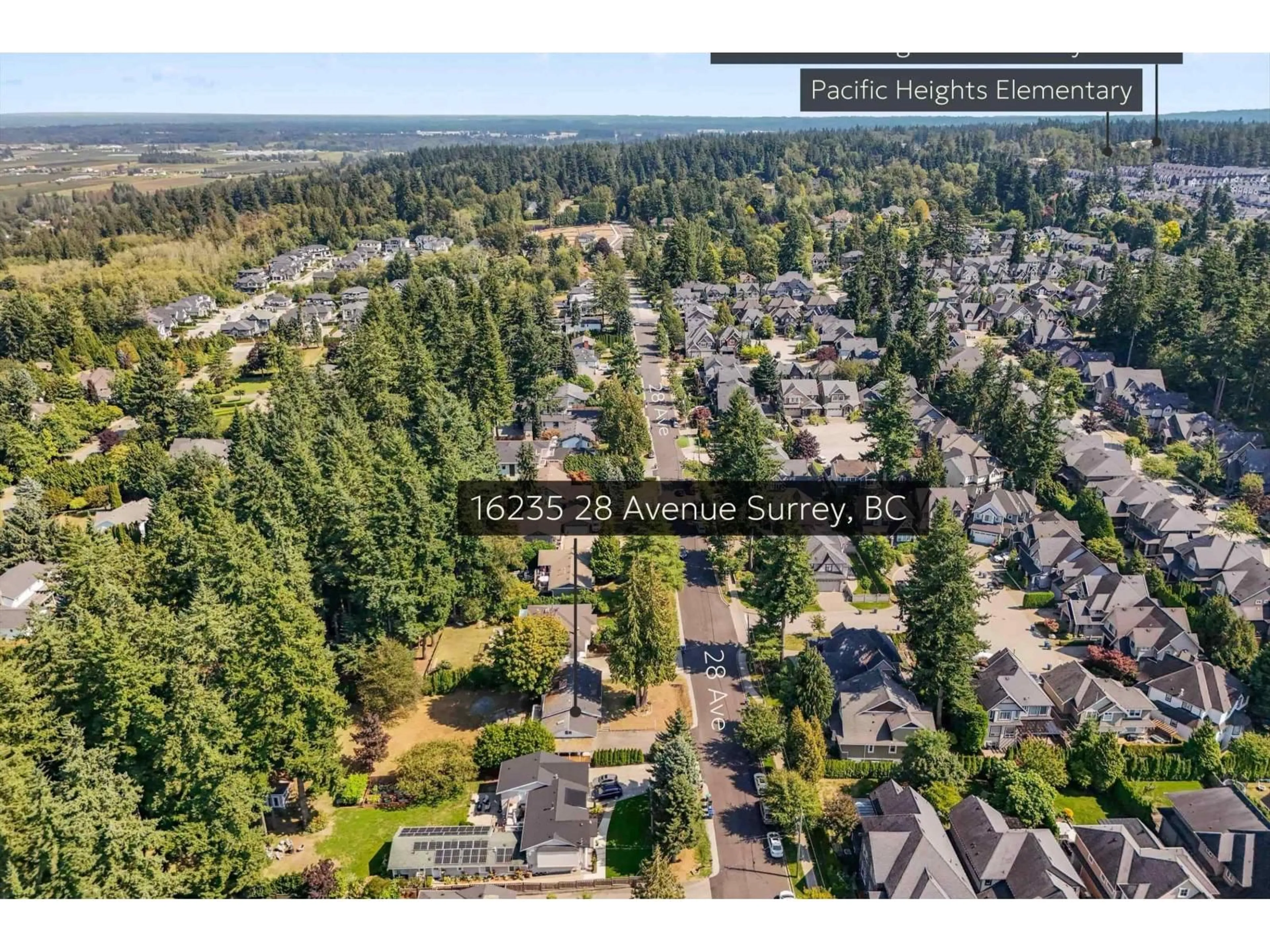 A pic from outside/outdoor area/front of a property/back of a property/a pic from drone, forest/trees view for 16235 28, Surrey British Columbia V3Z0E4