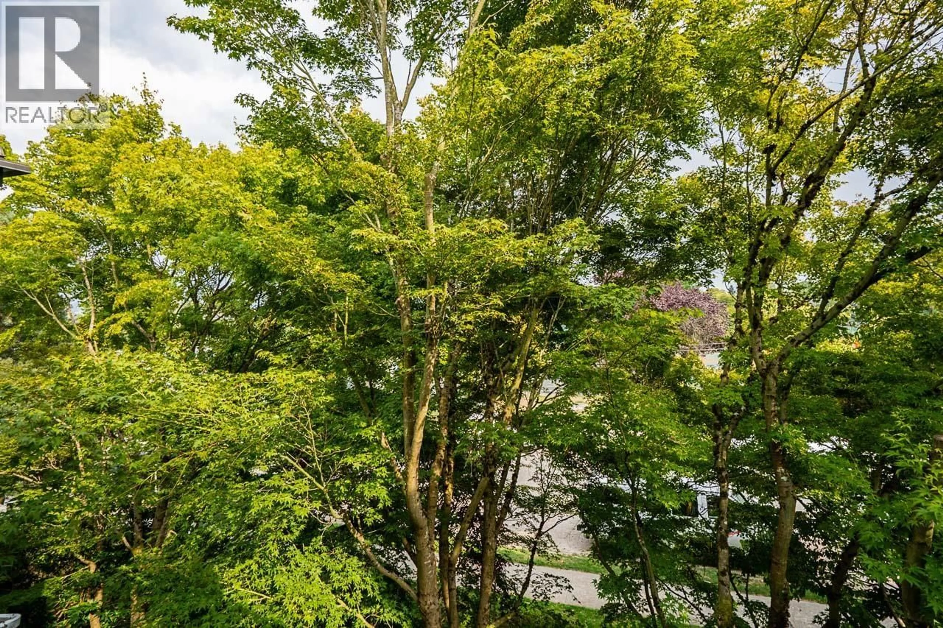 A pic from outside/outdoor area/front of a property/back of a property/a pic from drone, forest/trees view for 302 - 2222 PRINCE EDWARD STREET, Vancouver British Columbia V5T4M6