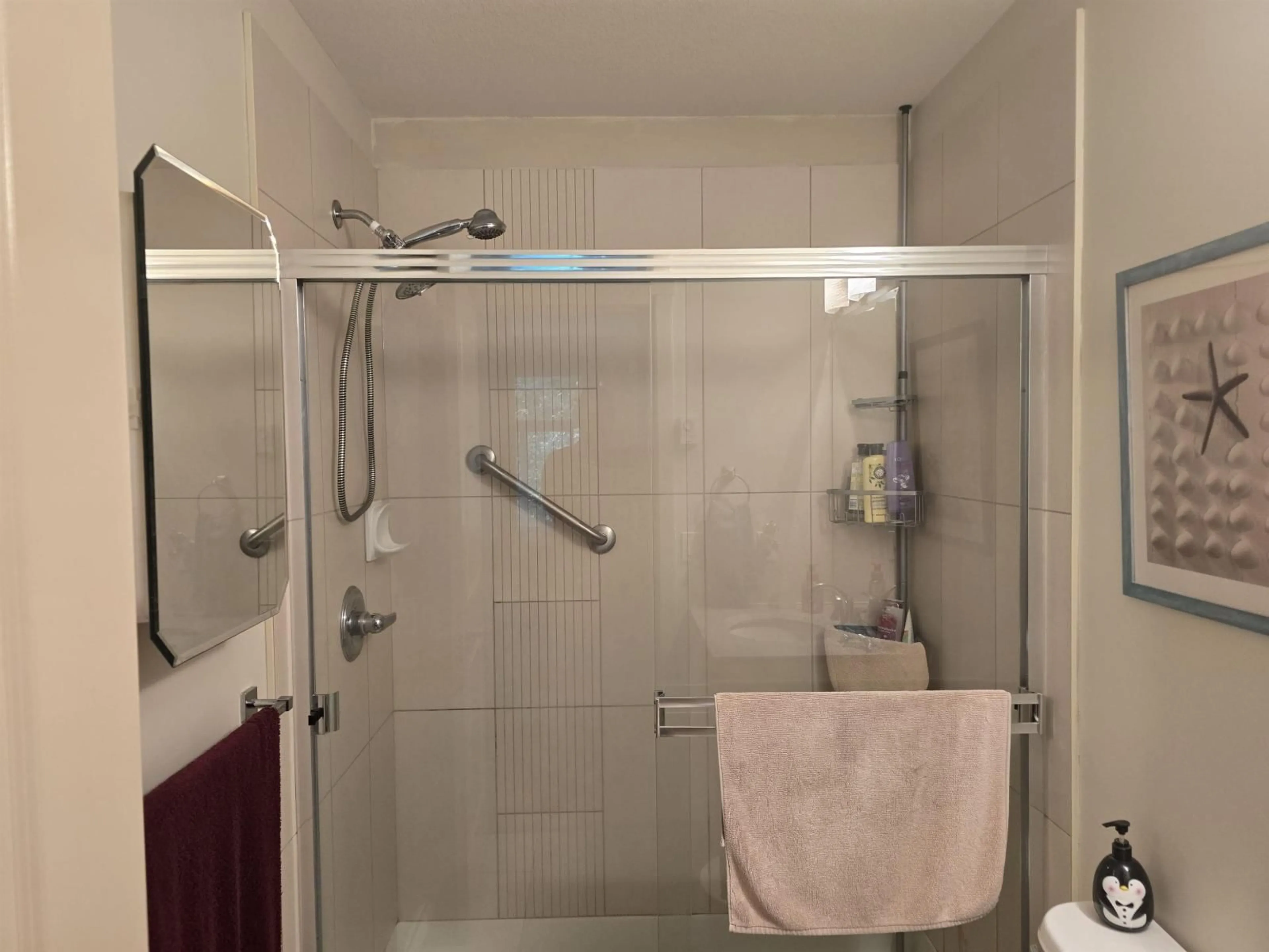 Standard bathroom, floor is not visible for 307 - 33328 E BOURQUIN, Abbotsford British Columbia V2S1Y1
