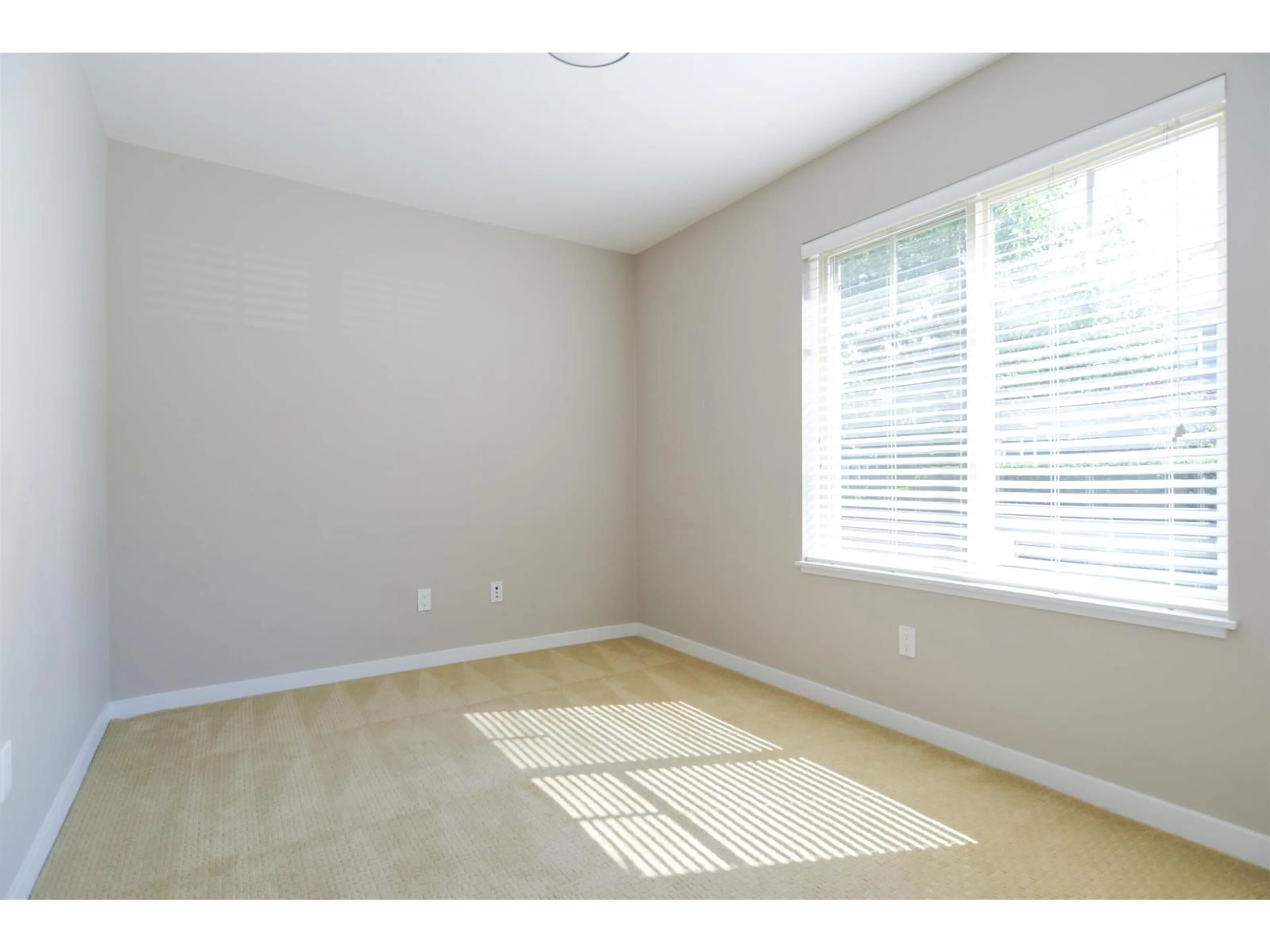 A pic of a room for 9 - 2845 156, Surrey British Columbia V3Z3Y3