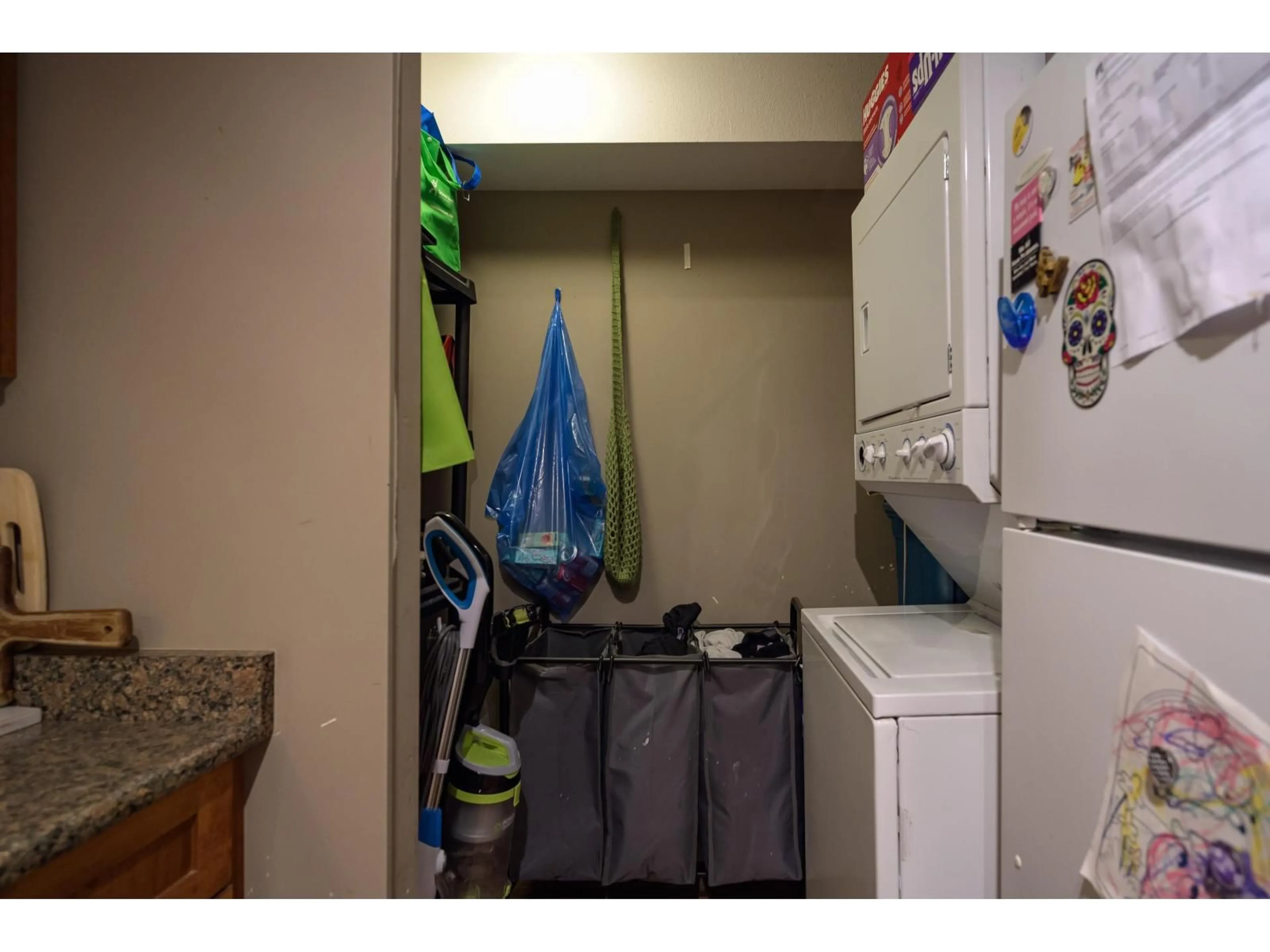 Laundry room for 312 - 33960 OLD YALE, Abbotsford British Columbia V2S2J9