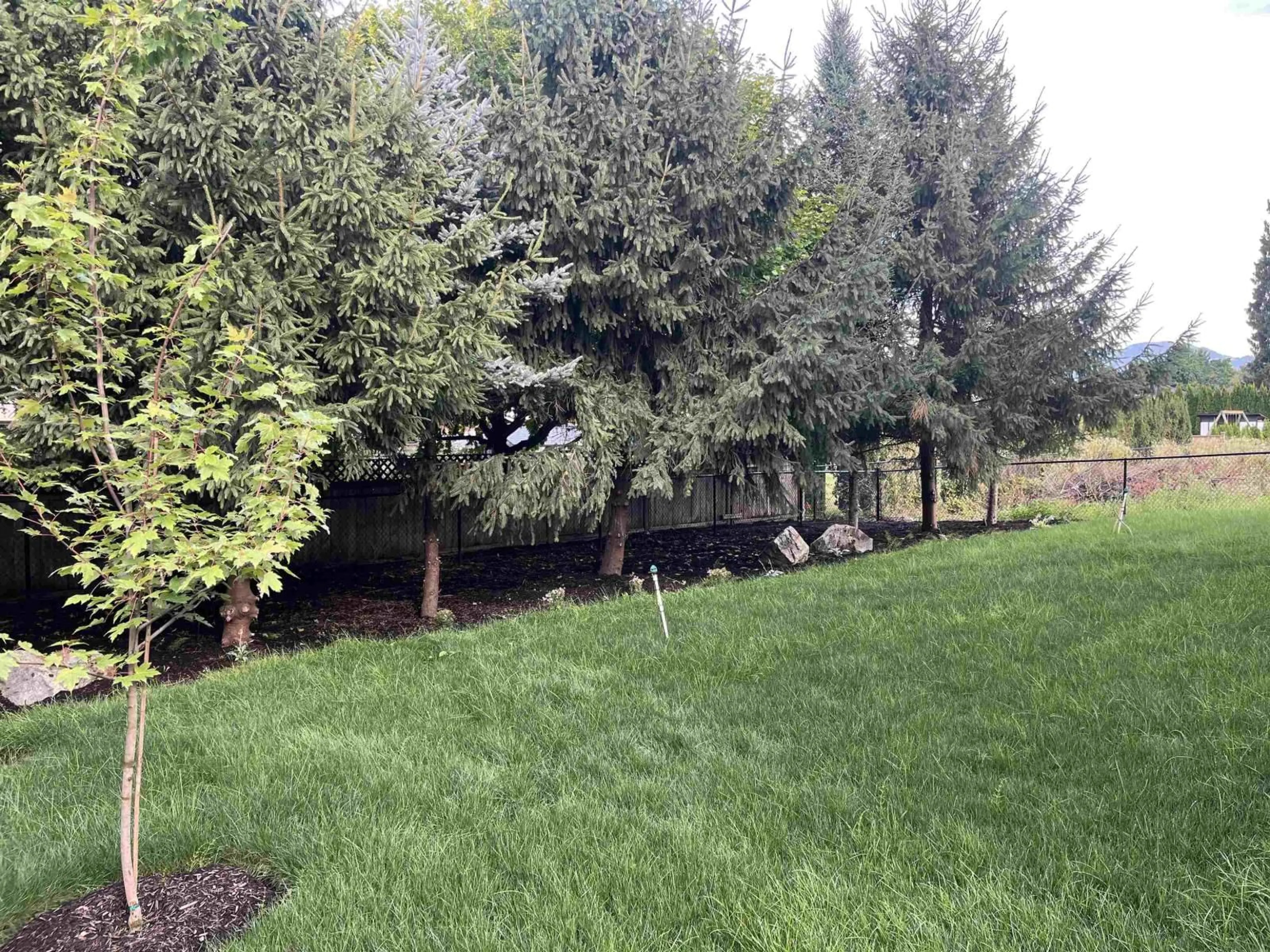 A pic from outside/outdoor area/front of a property/back of a property/a pic from drone, forest/trees view for 9997 MAGNOLIA PLACE, Chilliwack British Columbia V0X1X1