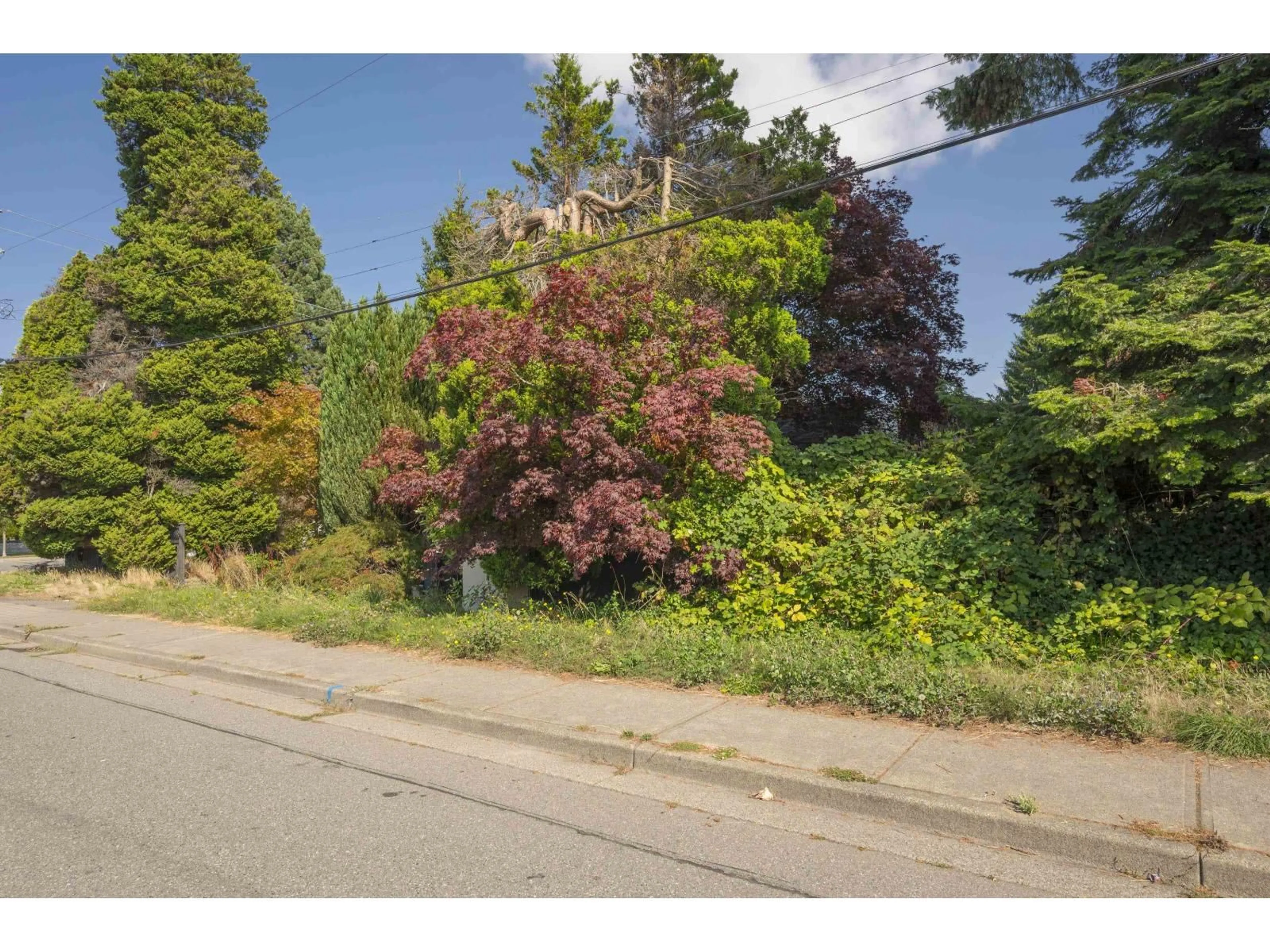 Blurry image for 1590 BISHOP, White Rock British Columbia V4K3K7