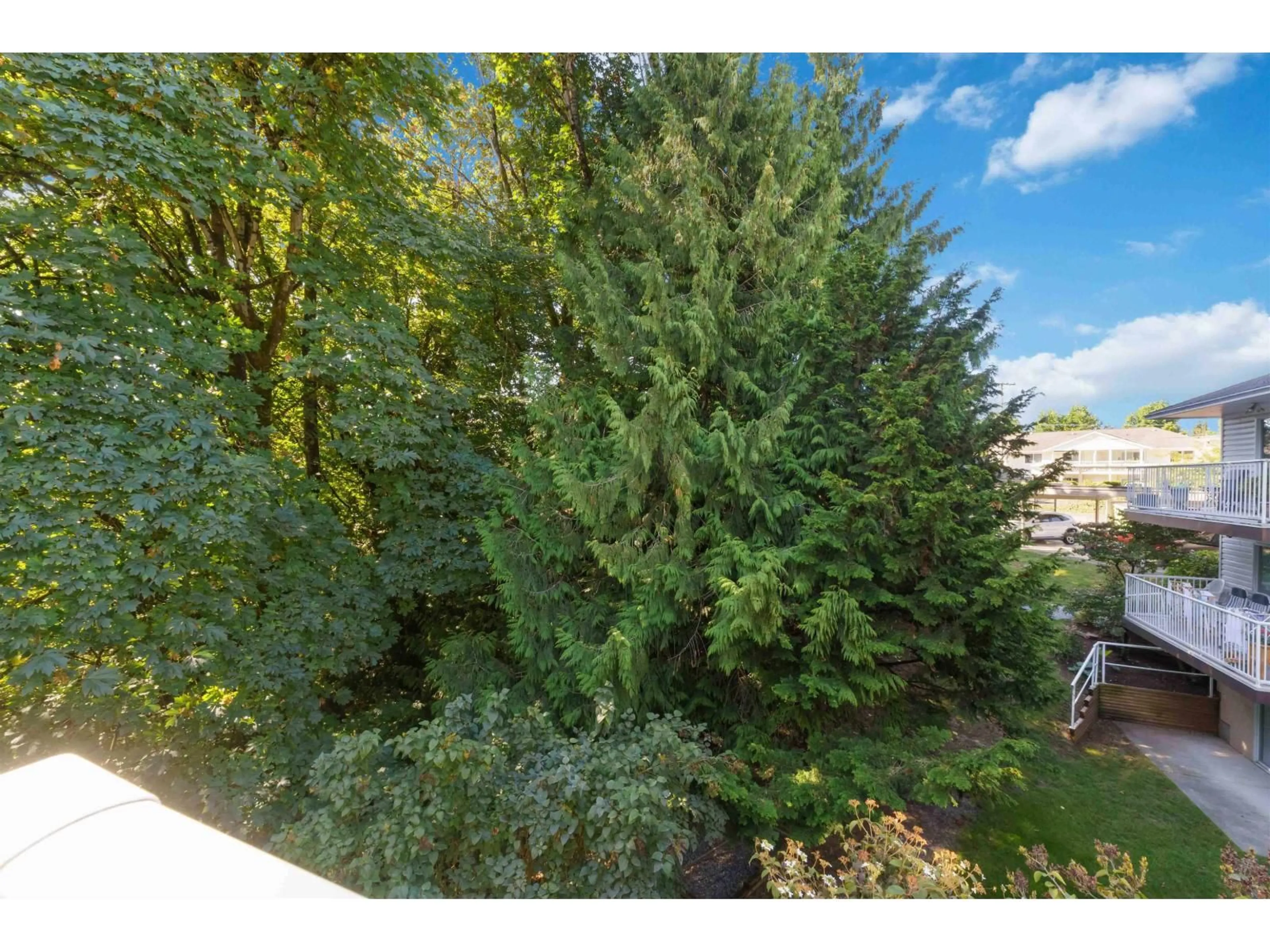 A pic from outside/outdoor area/front of a property/back of a property/a pic from drone, forest/trees view for 38 - 3380 GLADWIN, Abbotsford British Columbia V2S7G1