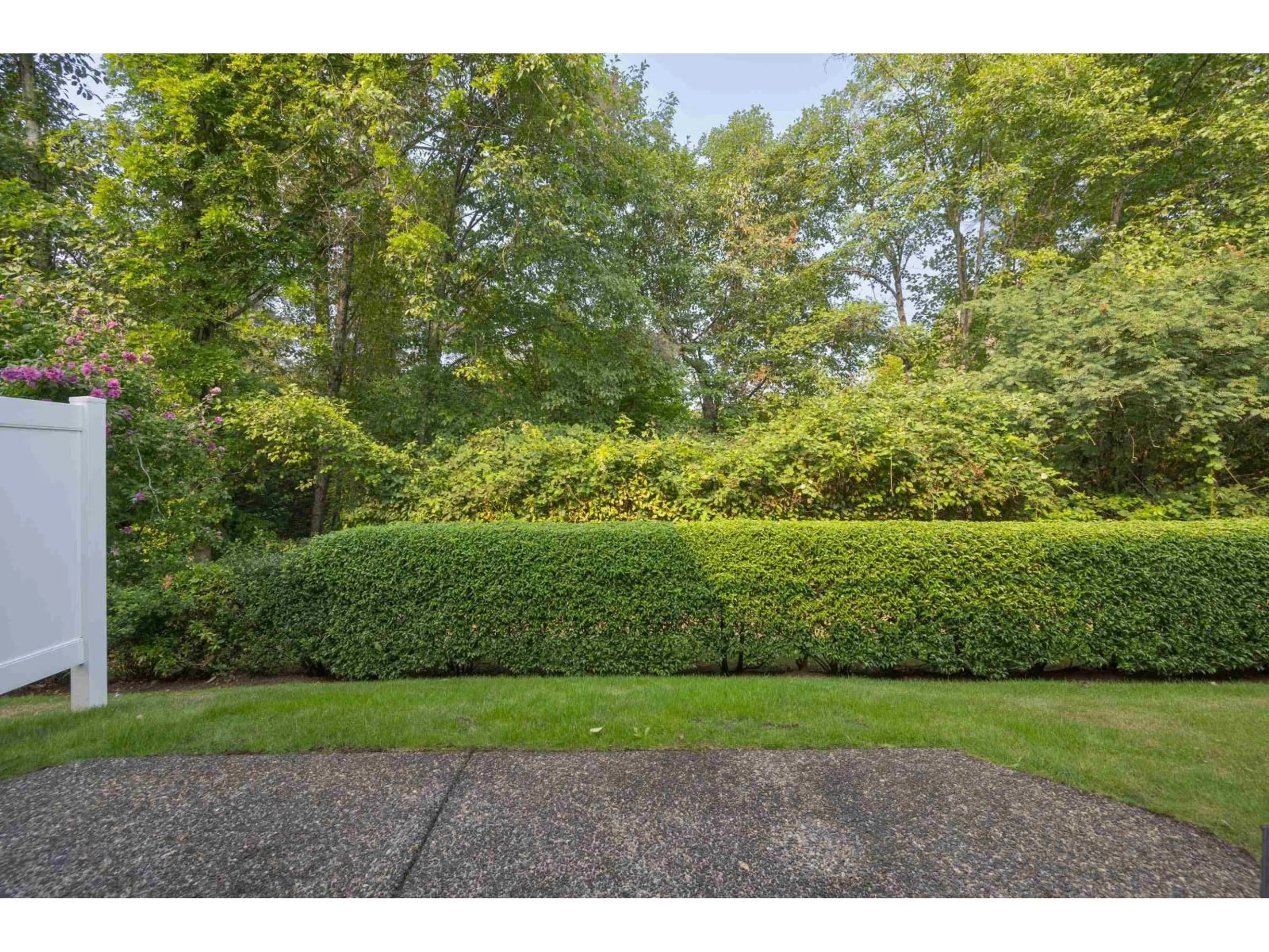A pic from outside/outdoor area/front of a property/back of a property/a pic from drone, forest/trees view for 72 - 21579 88B, Langley British Columbia V1M2X4