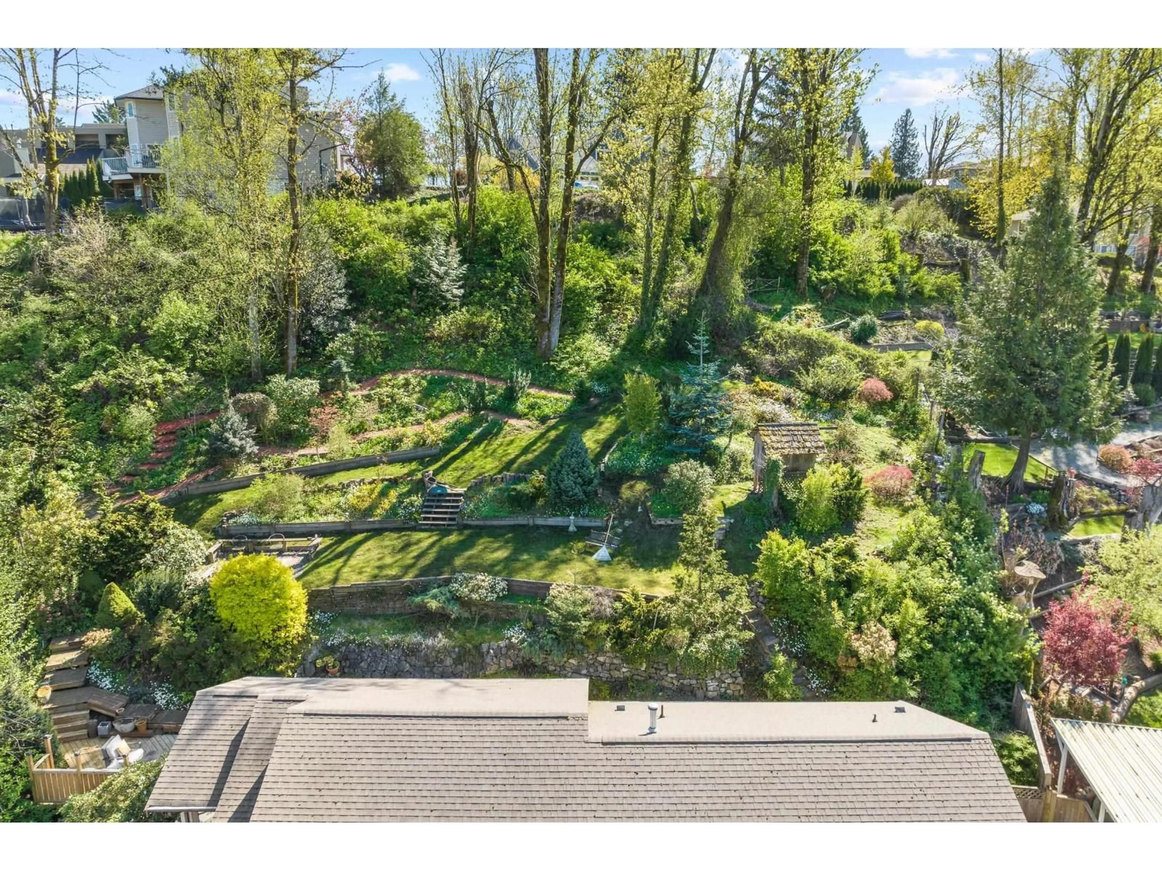 A pic from outside/outdoor area/front of a property/back of a property/a pic from drone, forest/trees view for 35940 SUNDEW, Abbotsford British Columbia V3G1E9