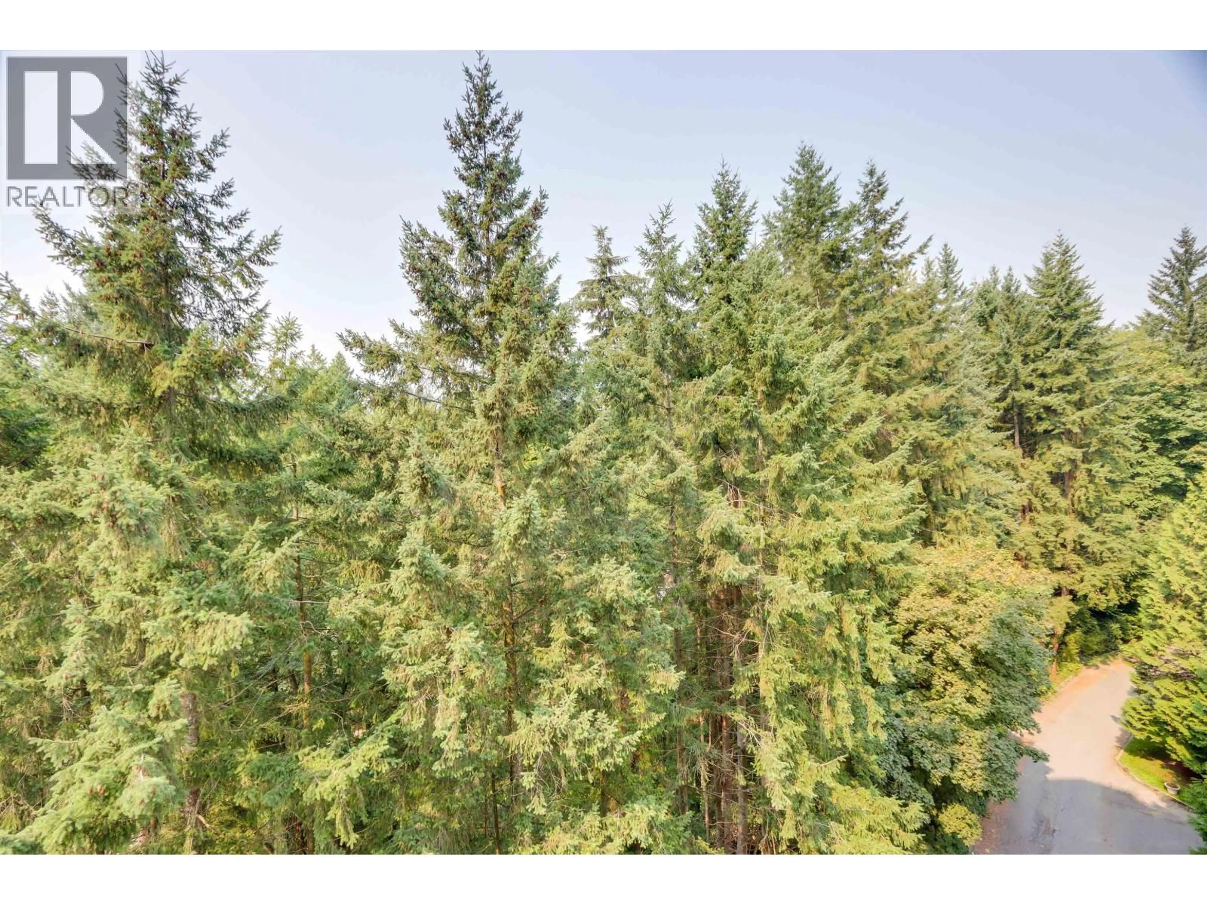 A pic from outside/outdoor area/front of a property/back of a property/a pic from drone, forest/trees view for 1004 - 2024 FULLERTON AVENUE, North Vancouver British Columbia V7P3G4