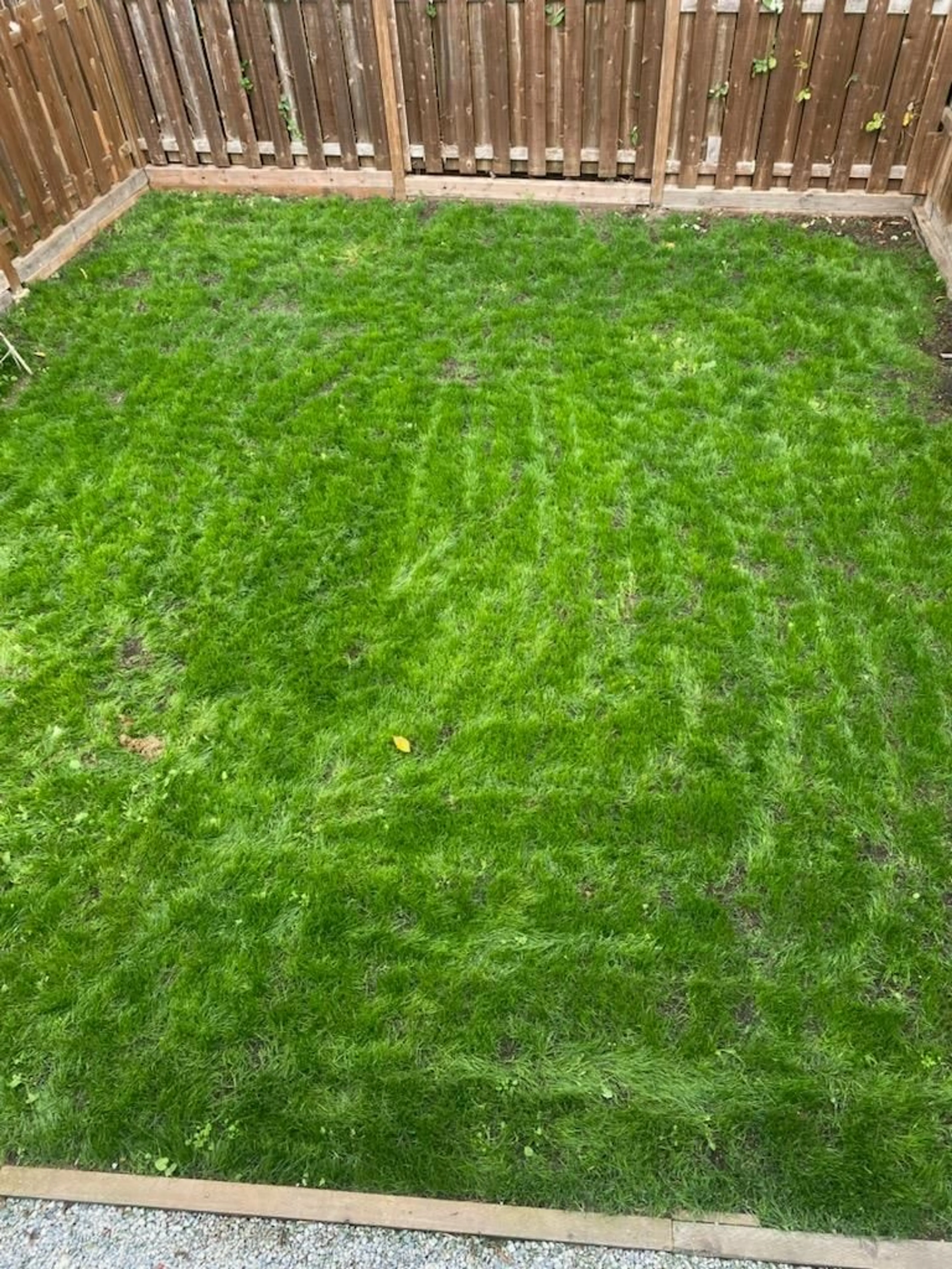 A pic from outside/outdoor area/front of a property/back of a property/a pic from drone, street for 7662 125, Surrey British Columbia V3W7W4